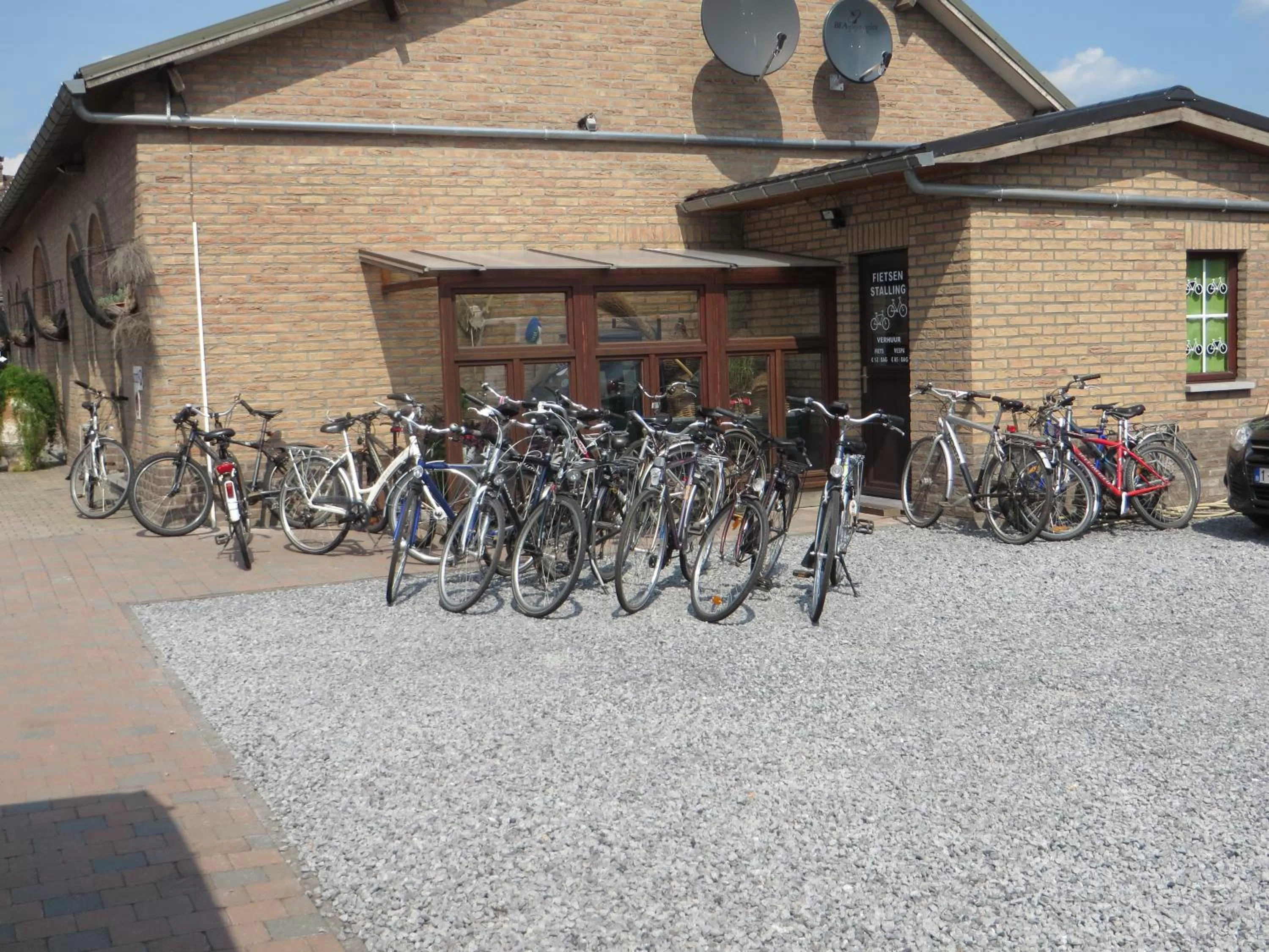 Garden in B&B Casa Roman & Vakantiewoning voor 1 pers tot max 32 personen