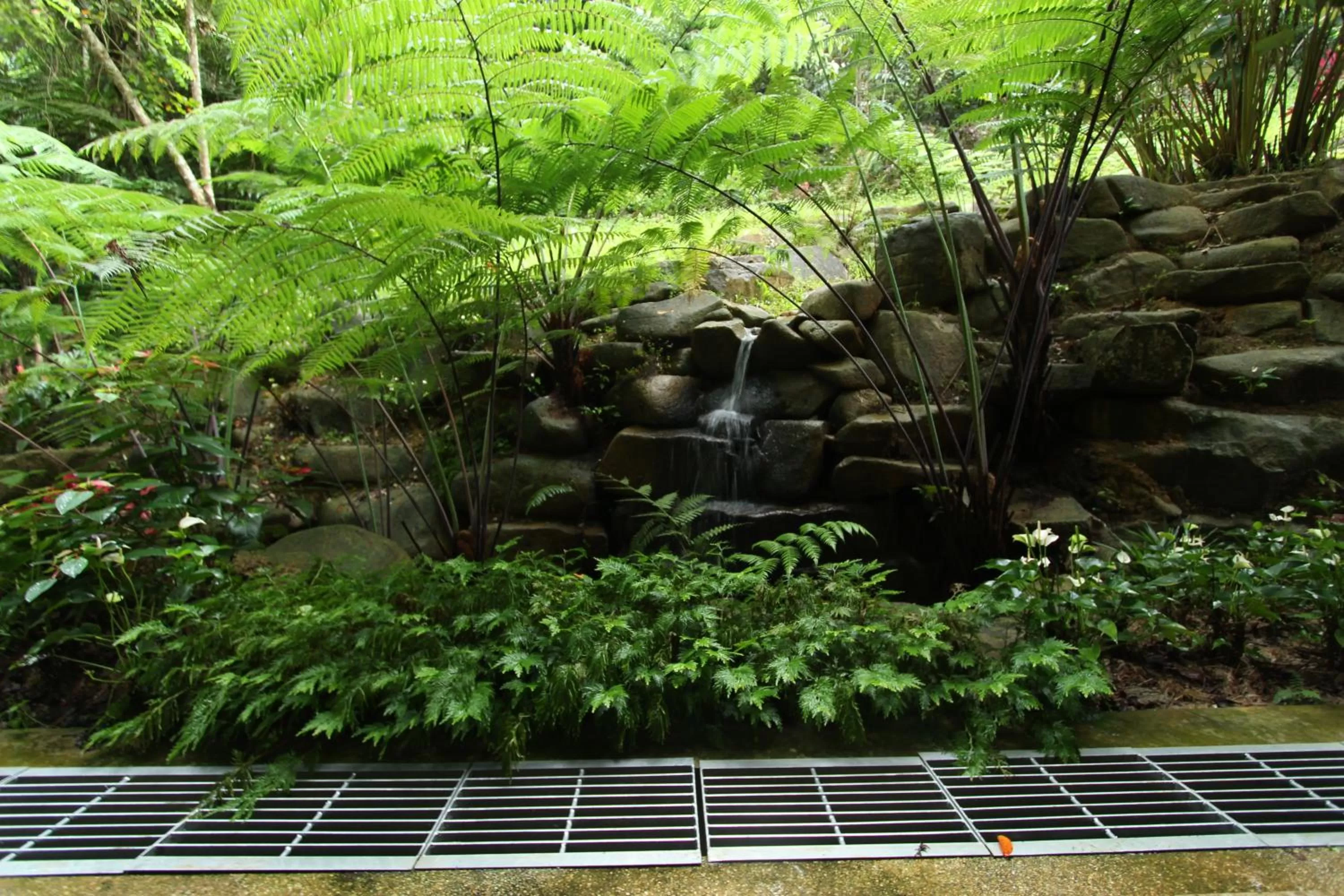 View (from property/room) in Harmony Valley Retreat