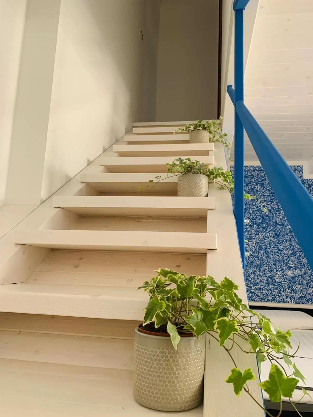 View (from property/room) in Gioema