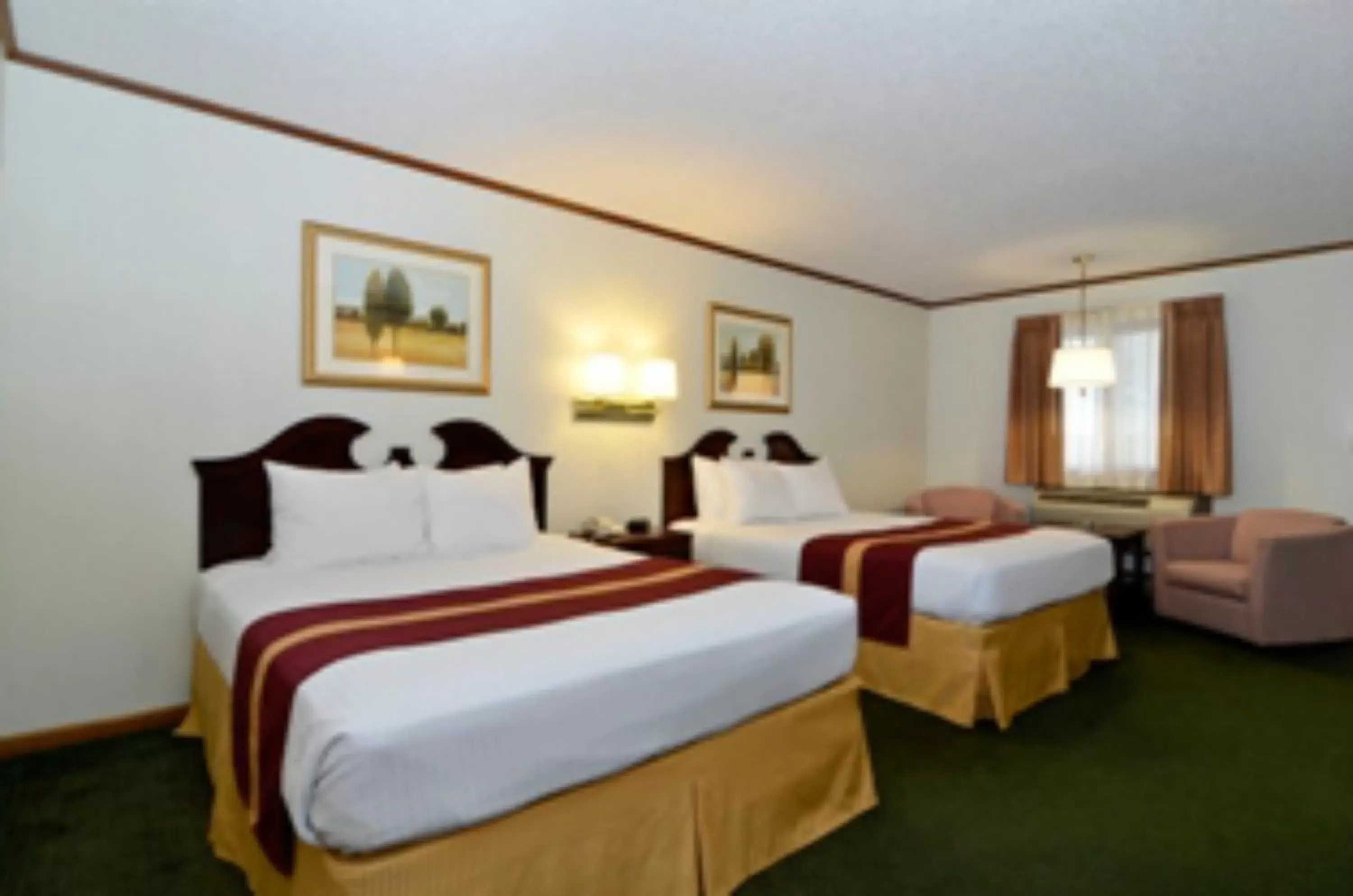 Bed in SureStay Hotel by Best Western Cameron