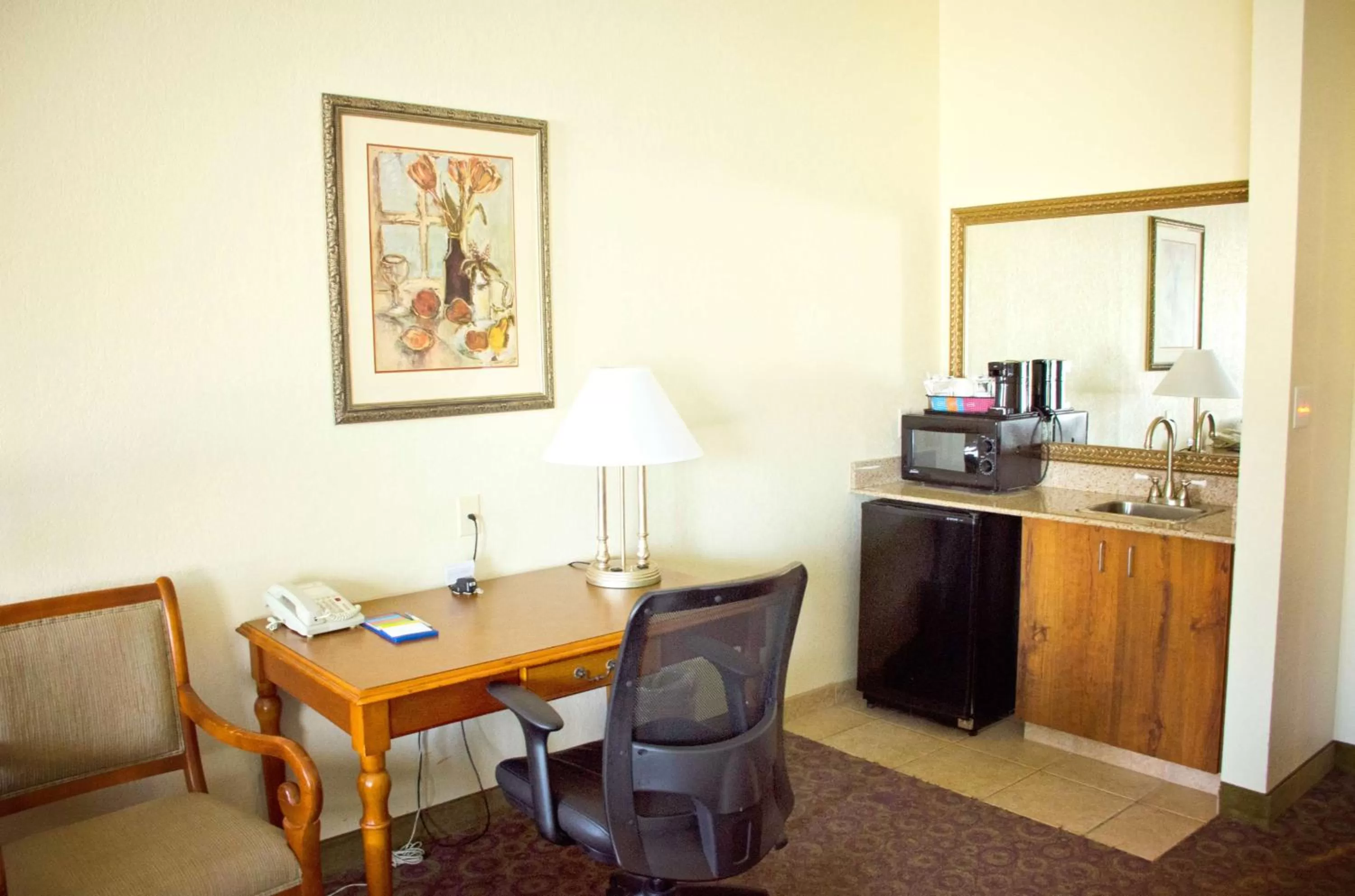 Kitchen or kitchenette in Hampton Inn & Suites College Station