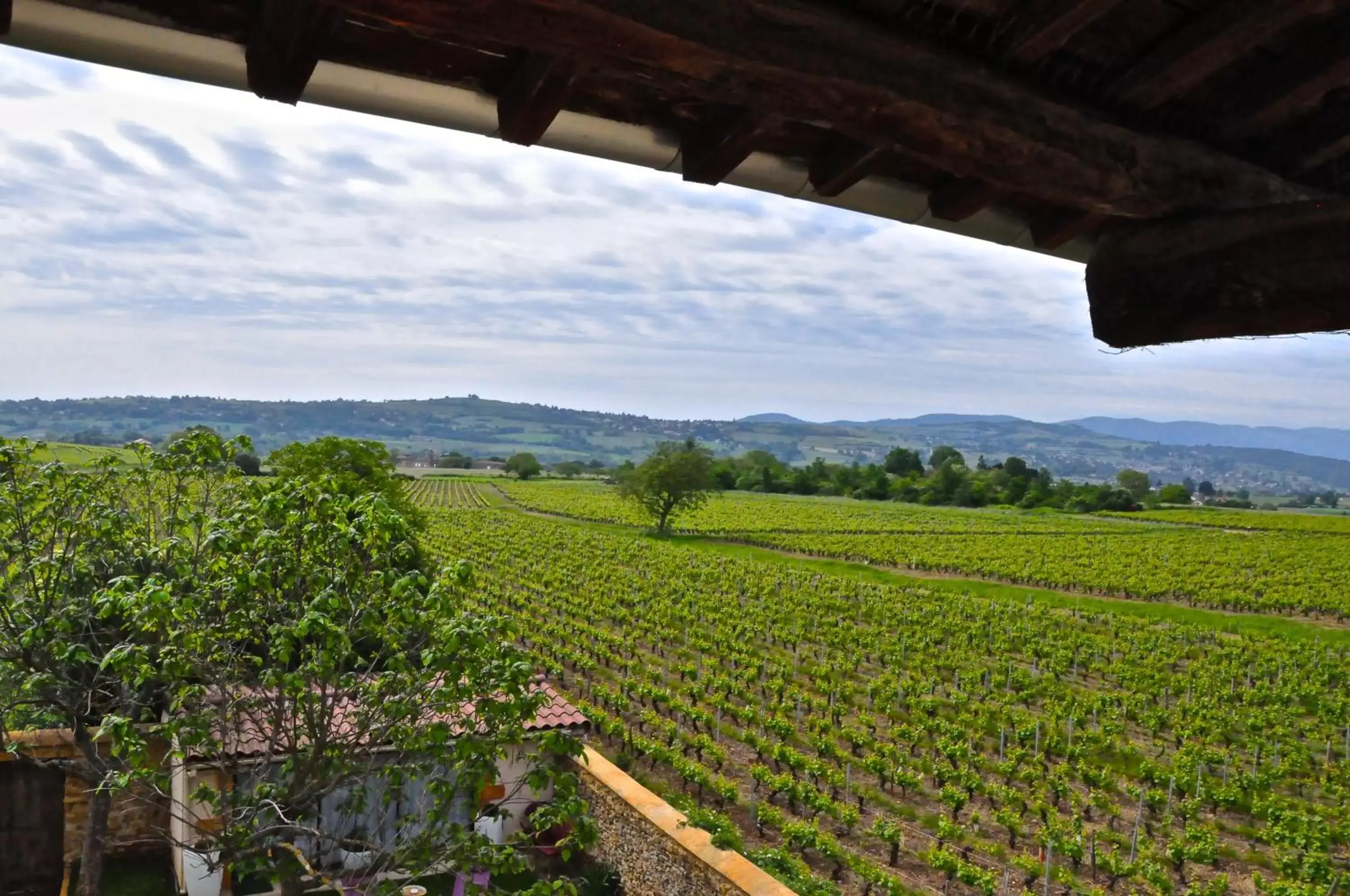 Mountain view in Le Clos du Cher en Beaujolais