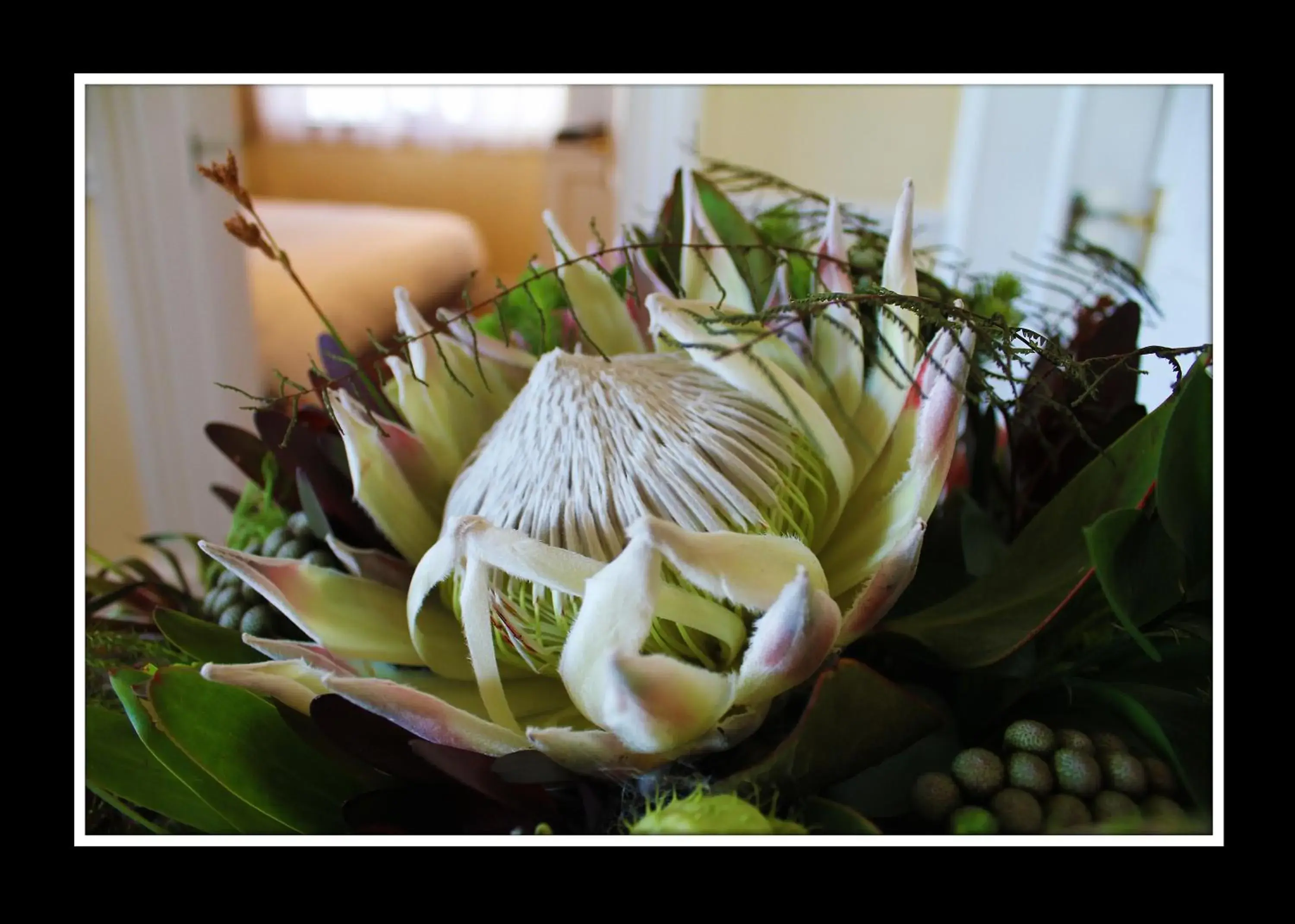 Decorative detail in La Fontaine Guest House Hermanus