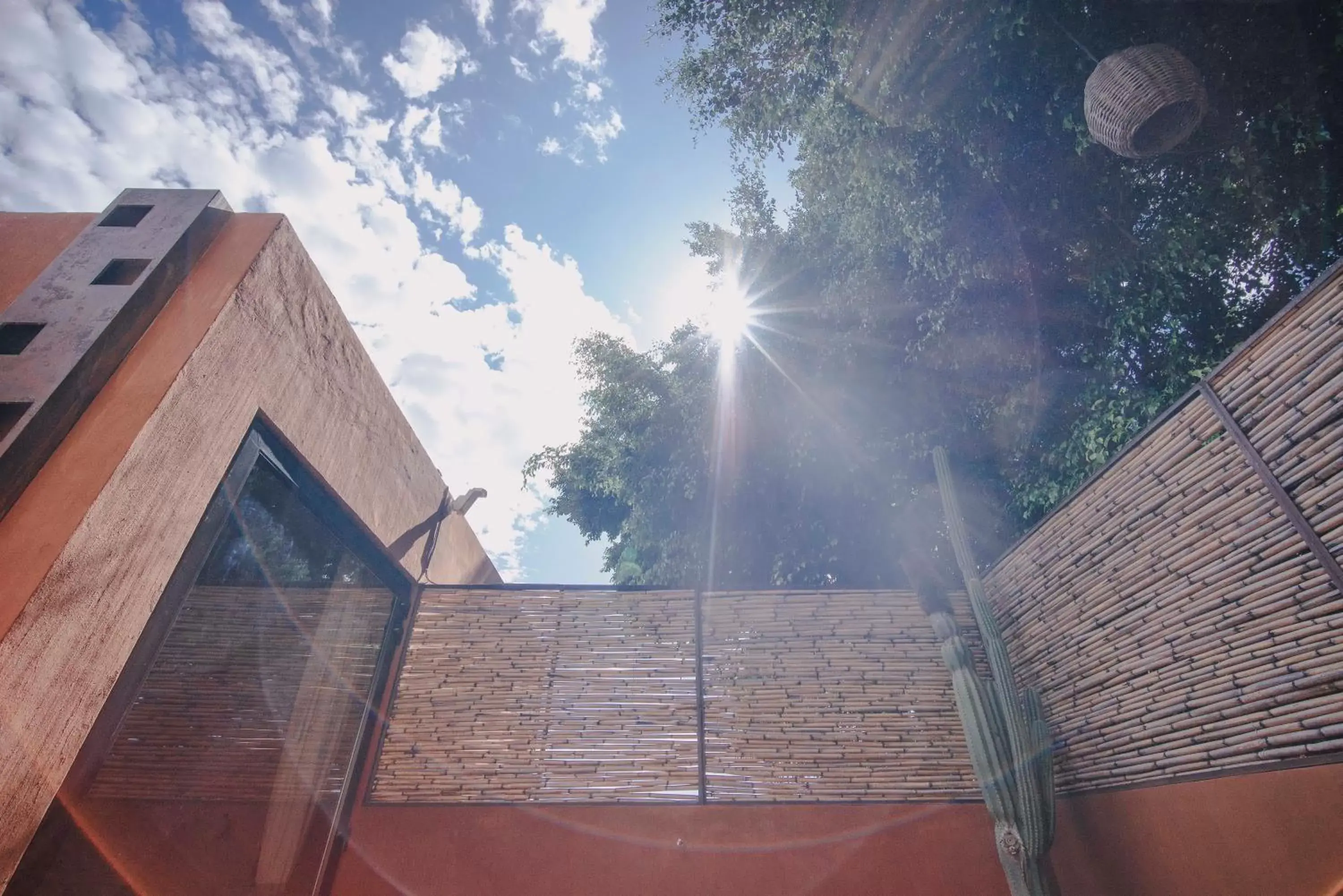 Balcony/Terrace in Casa Carmen Reforma