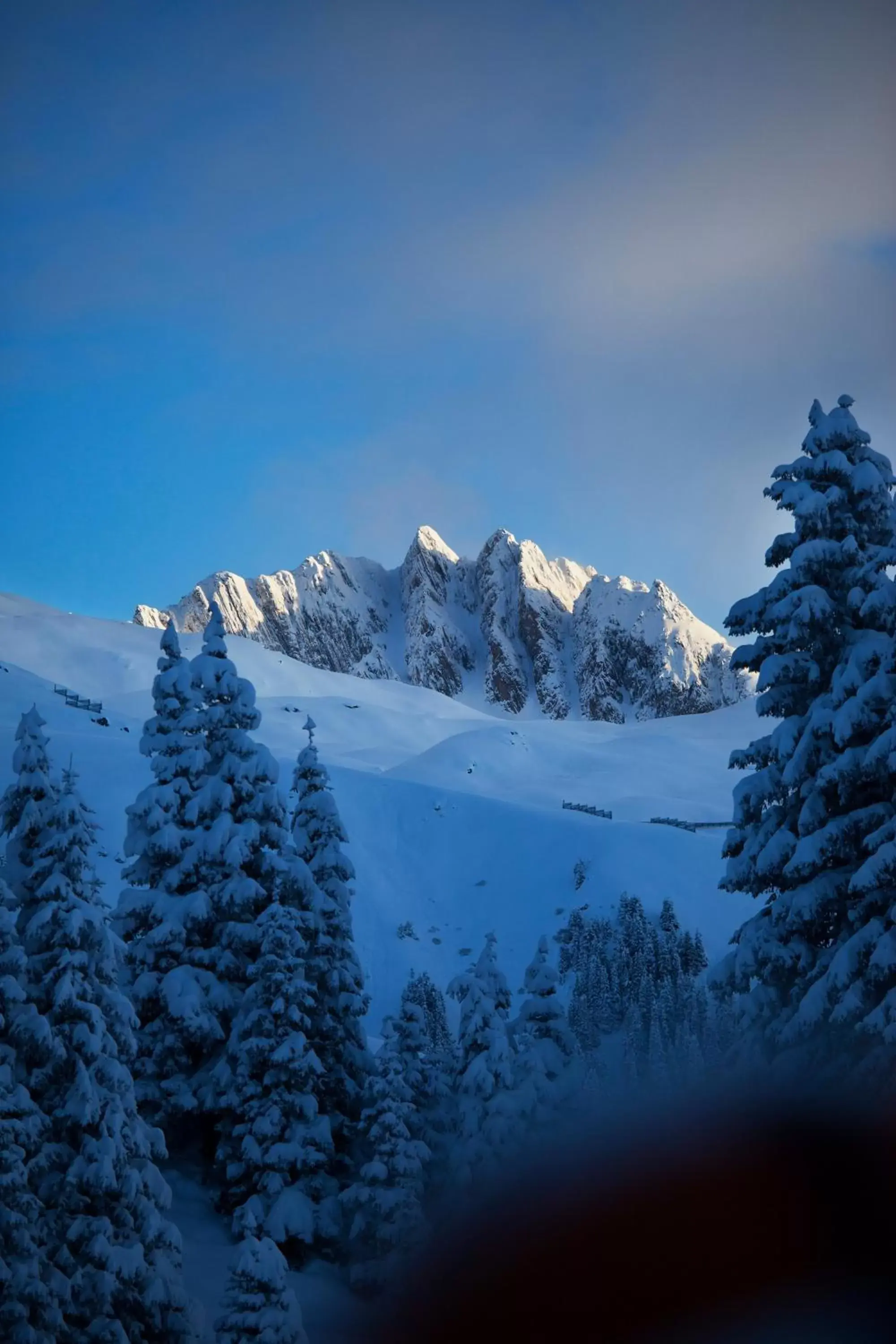 Natural landscape, Winter in Catrina Lodge