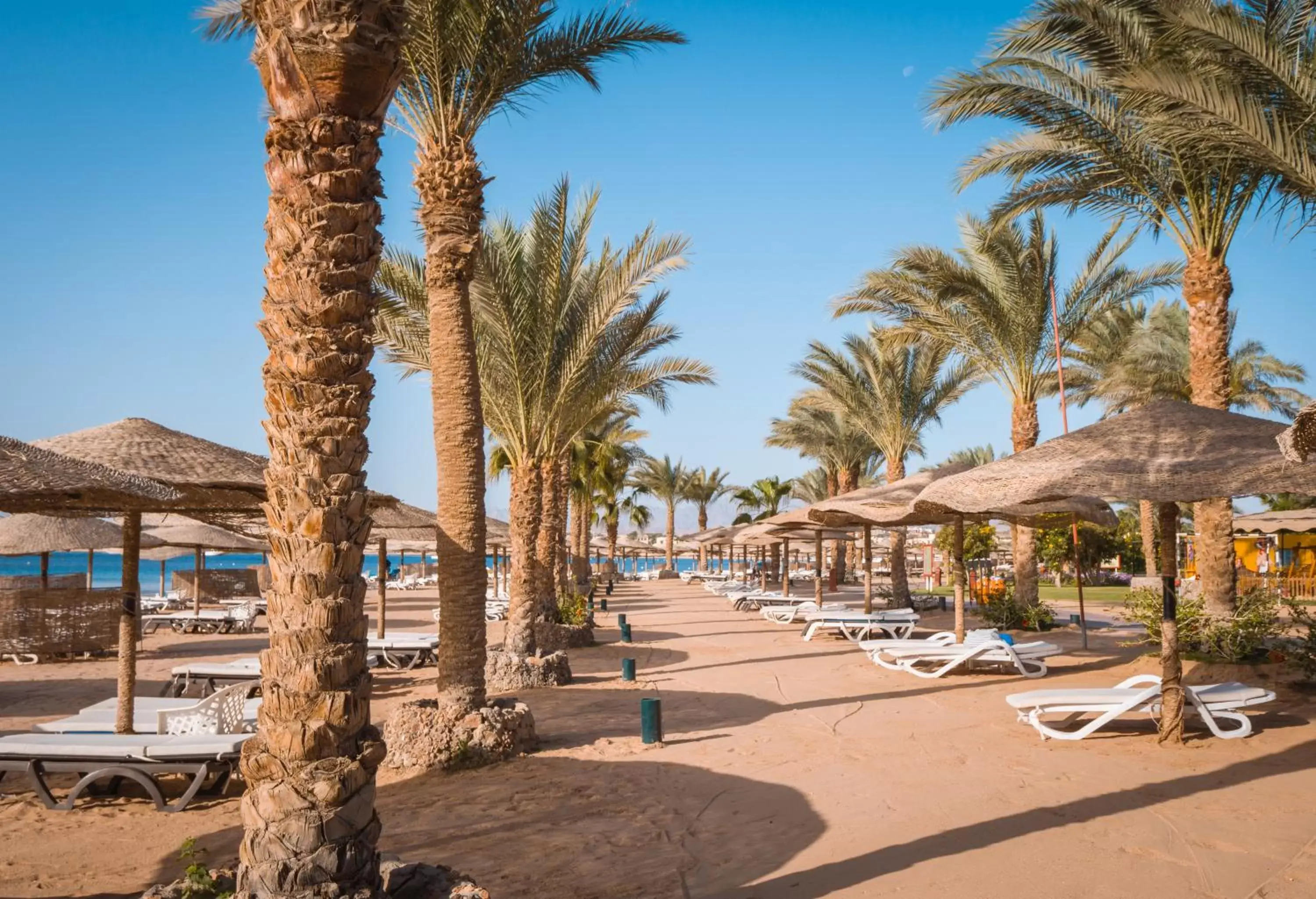 Beach in Fort Arabesque Resort, Spa & Villas