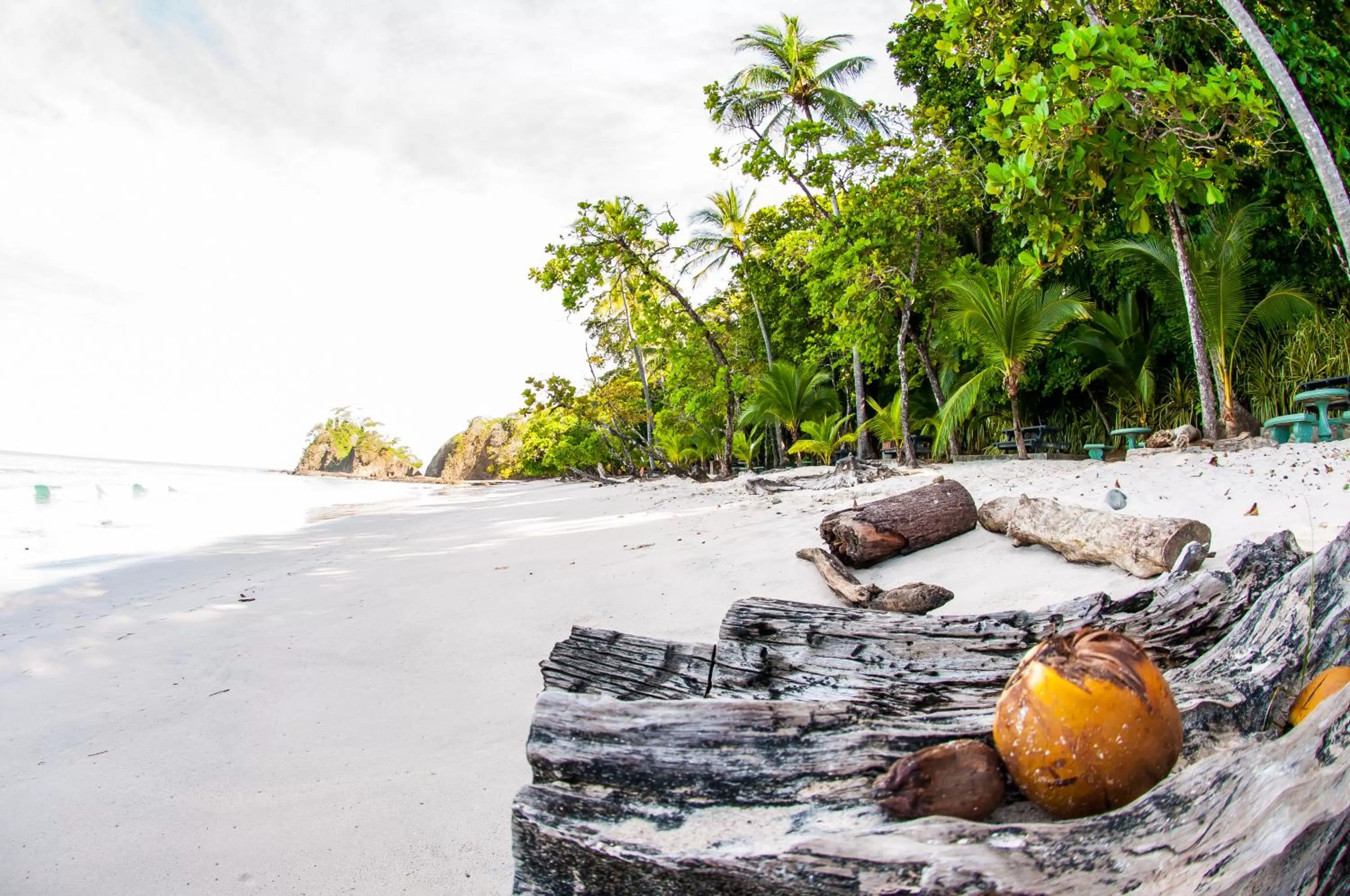 Beach in Hotel Punta Leona