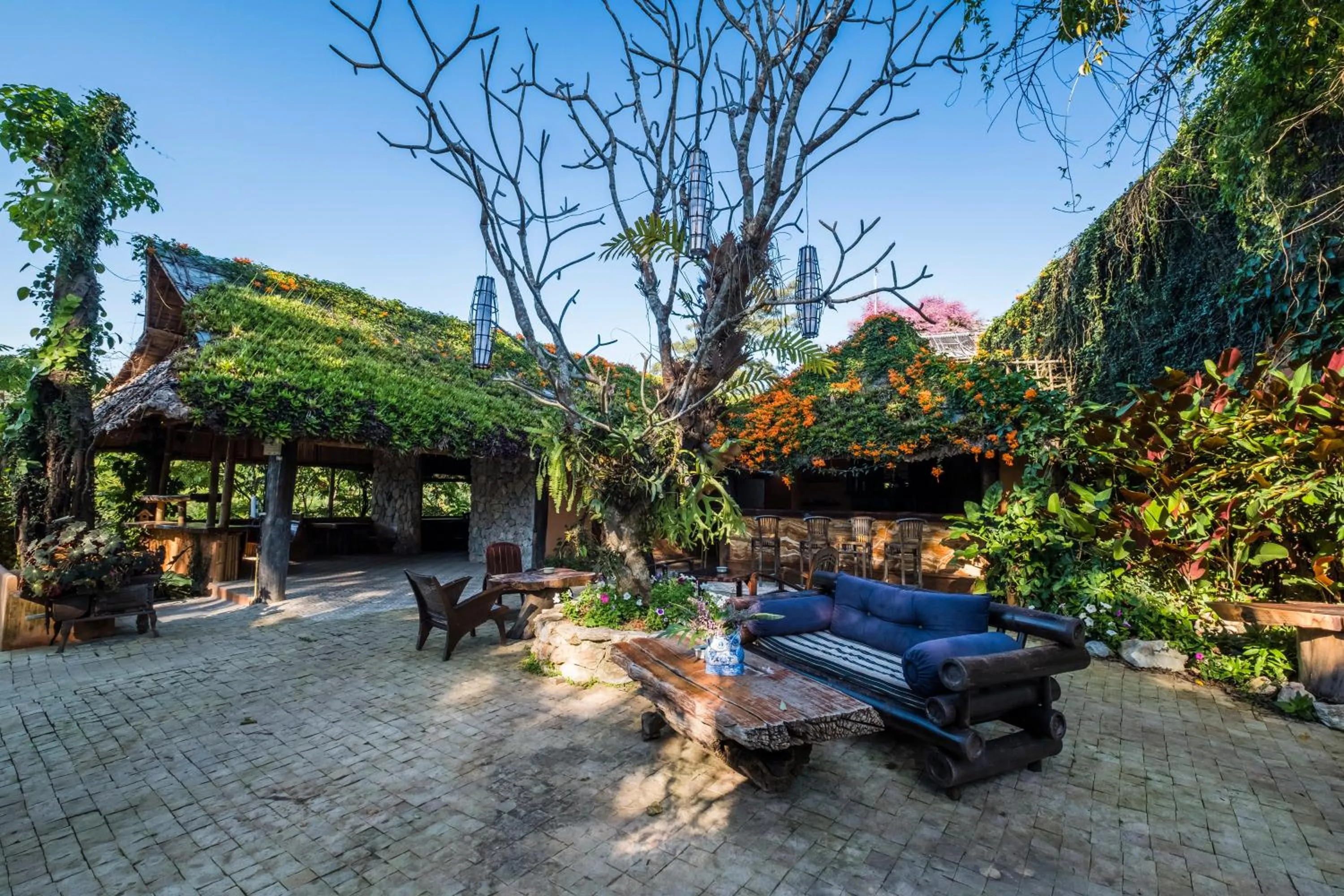 Garden in Phu Chaisai Chiang Rai Mountain Resort