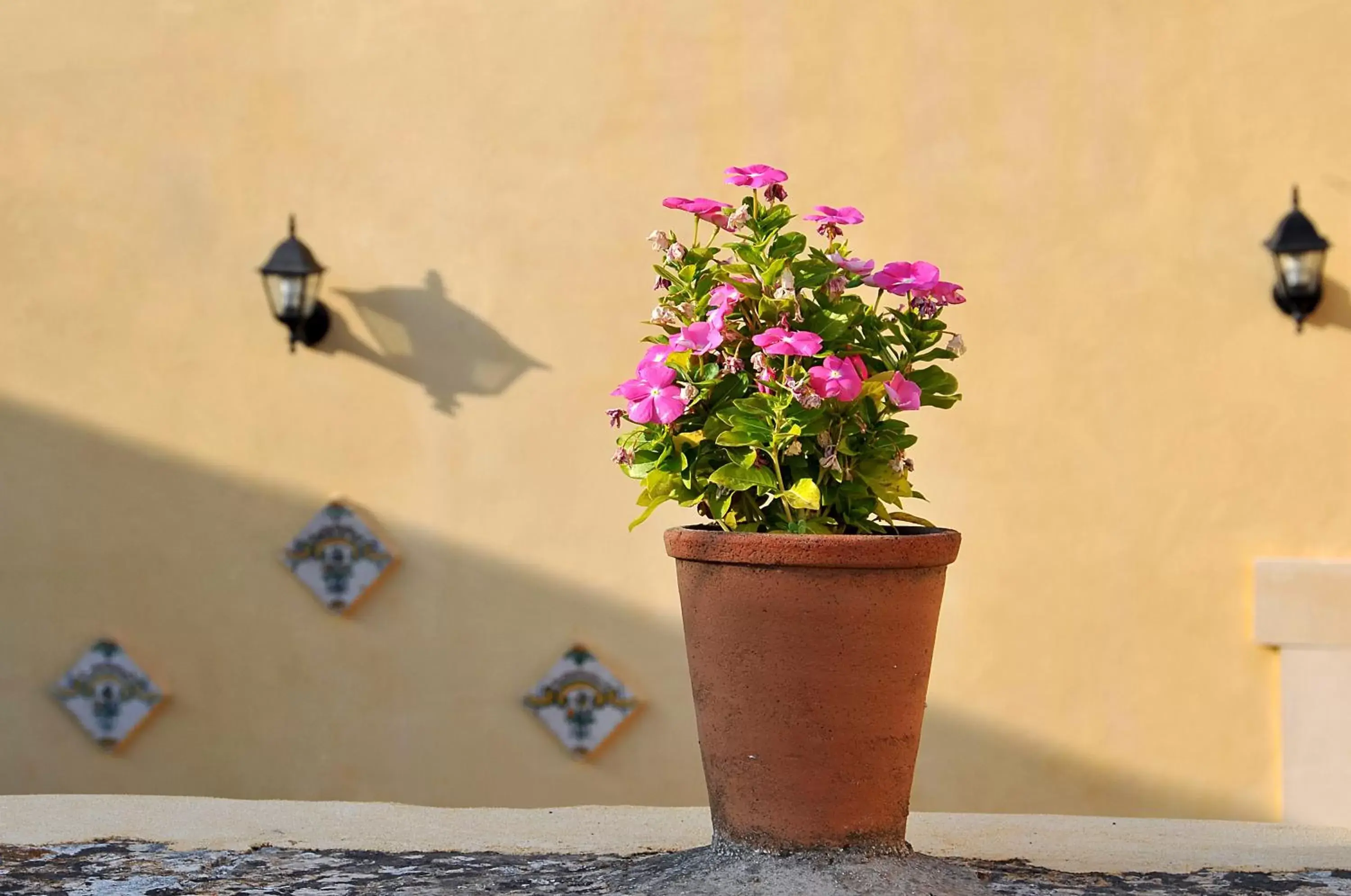 Balcony/Terrace in Il Giardino Del Barocco