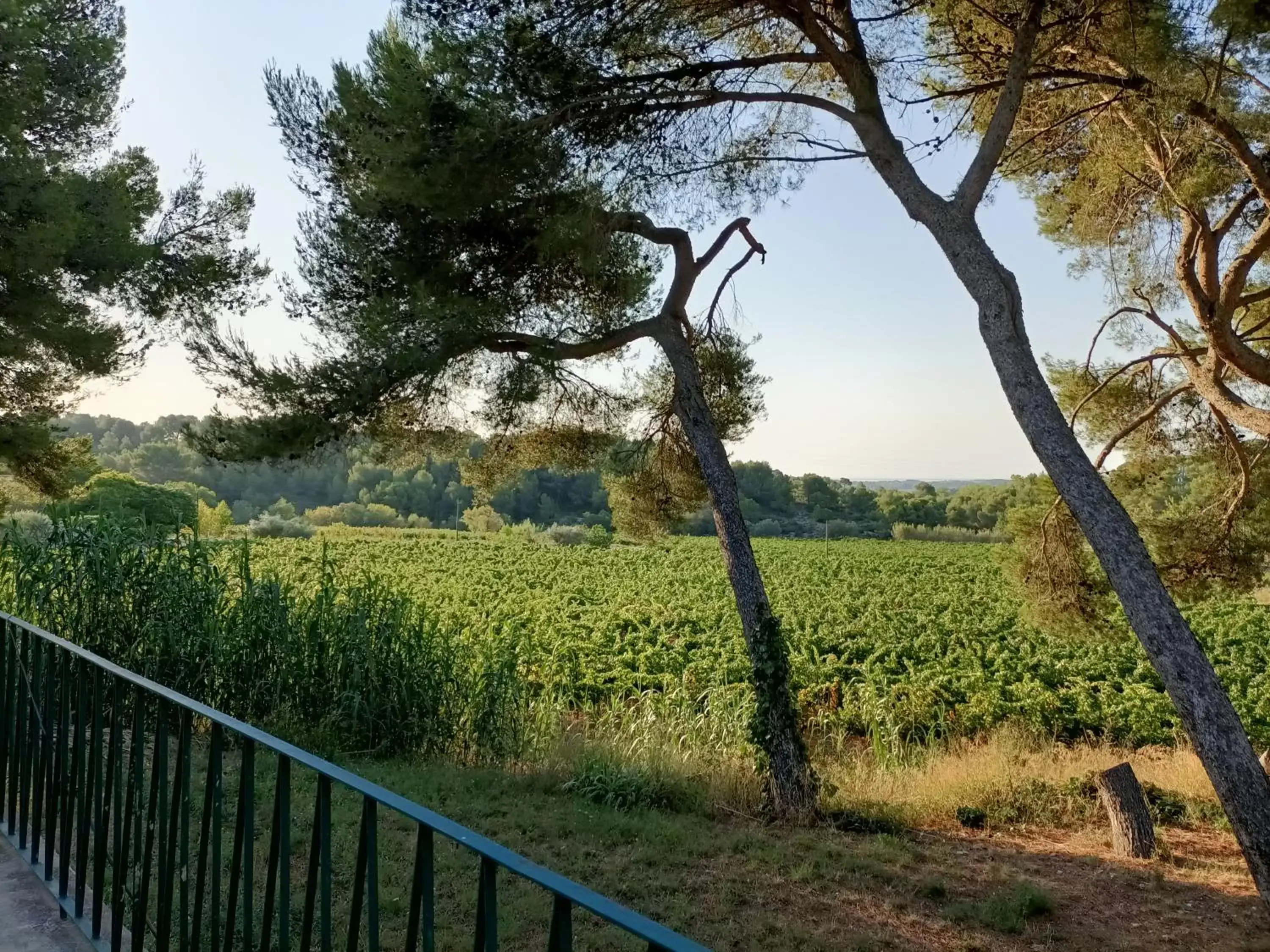 Garden in Hotel Les Rocailles