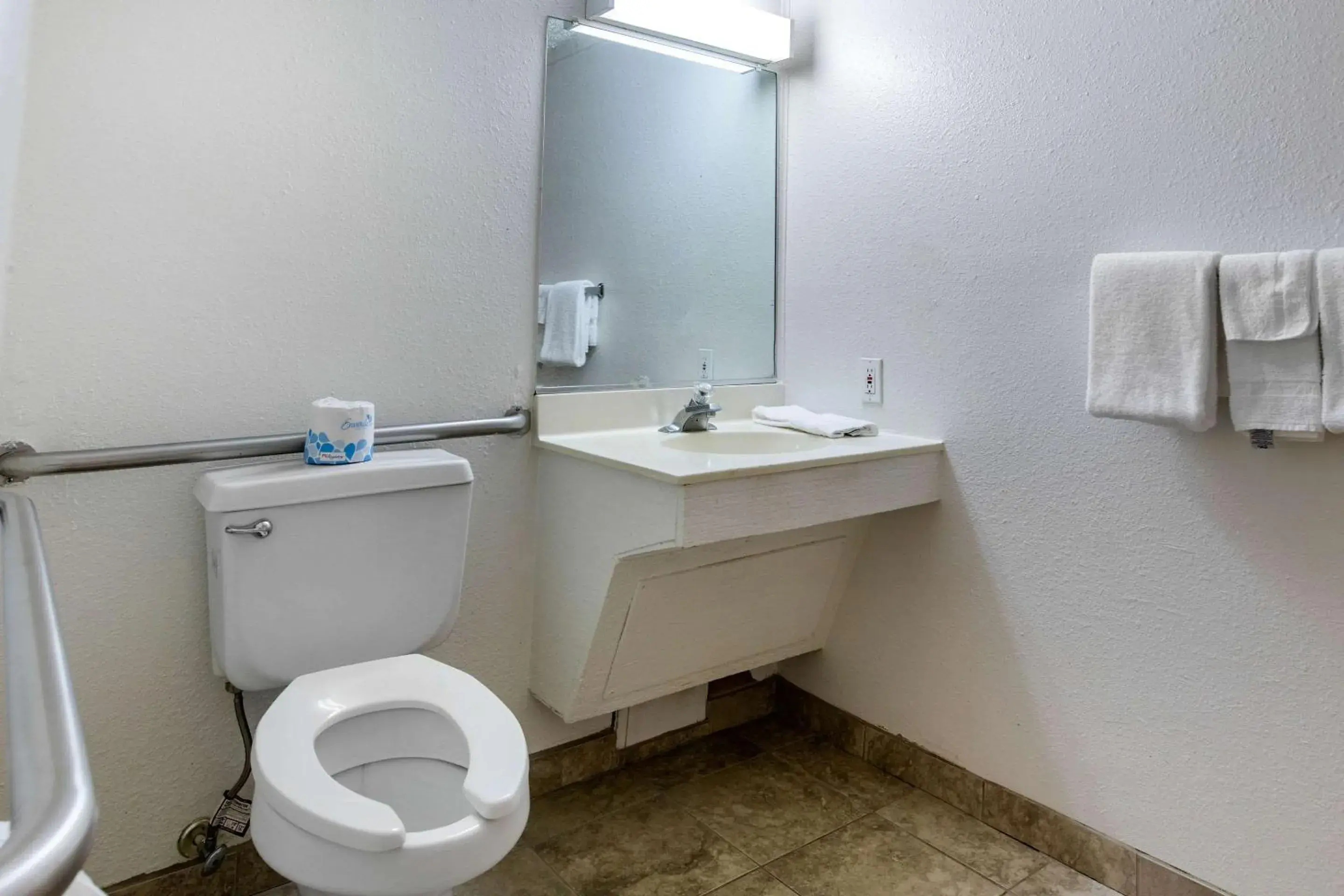 Bathroom in Rodeway Inn Auburn Hills
