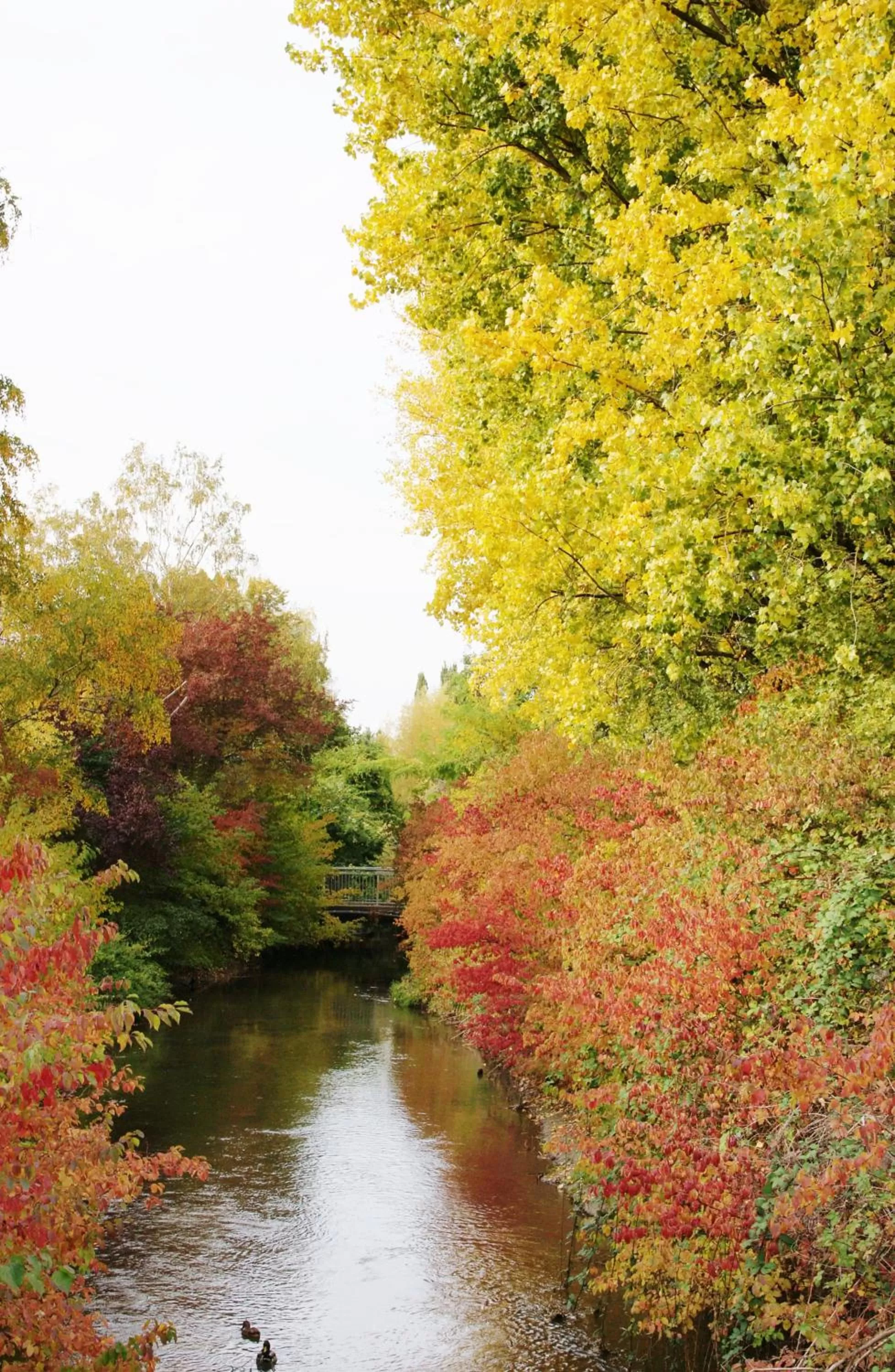 Area and facilities in Taste Hotel Hockenheim