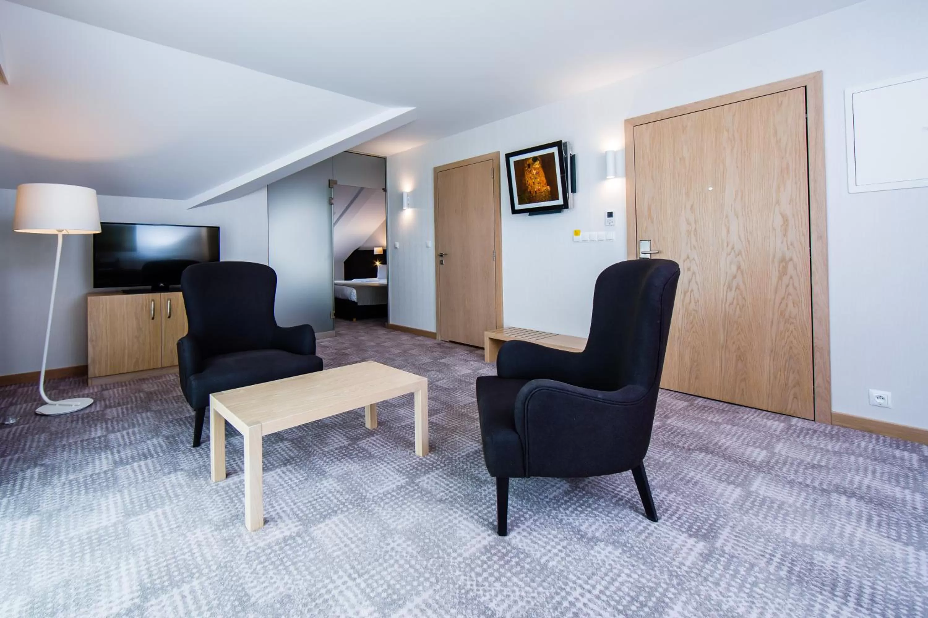 TV and multimedia in Hotel Sokół Wellness & SPA