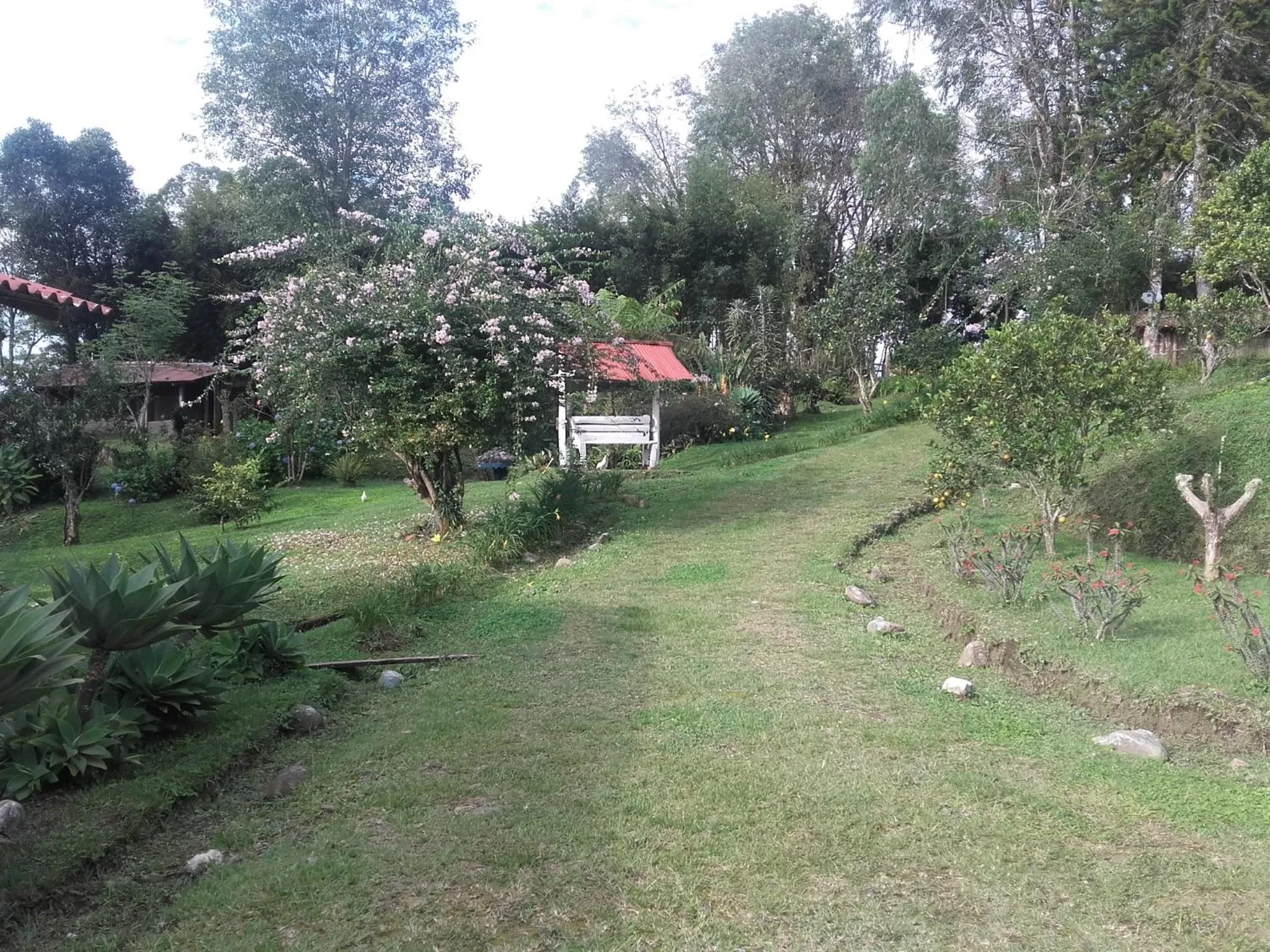 Garden in La Gaviota BnB