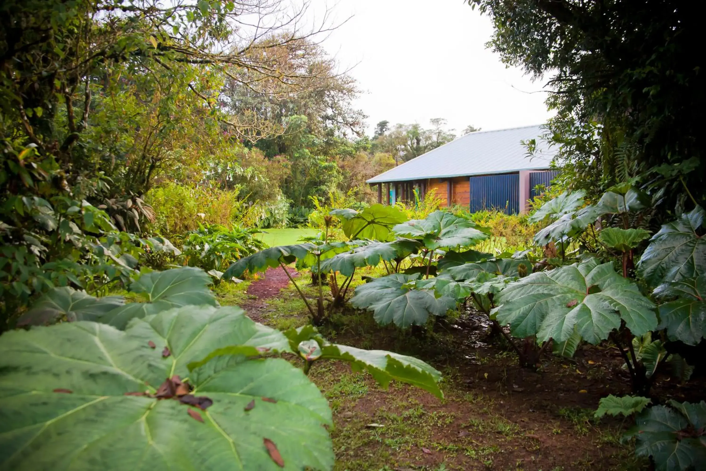 Hiking, Garden in Poas Volcano Lodge