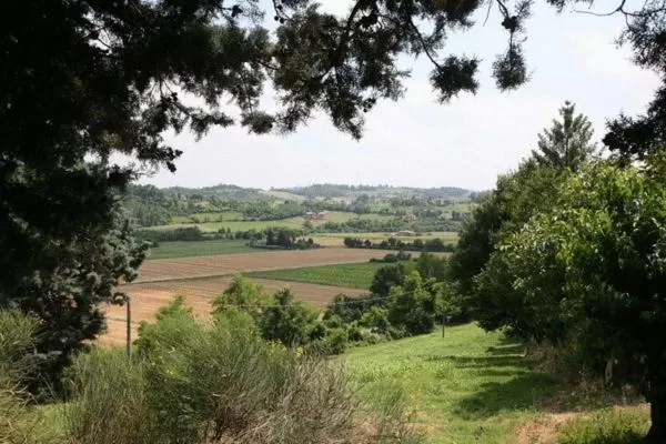 Area and facilities in Le Querce Hotel