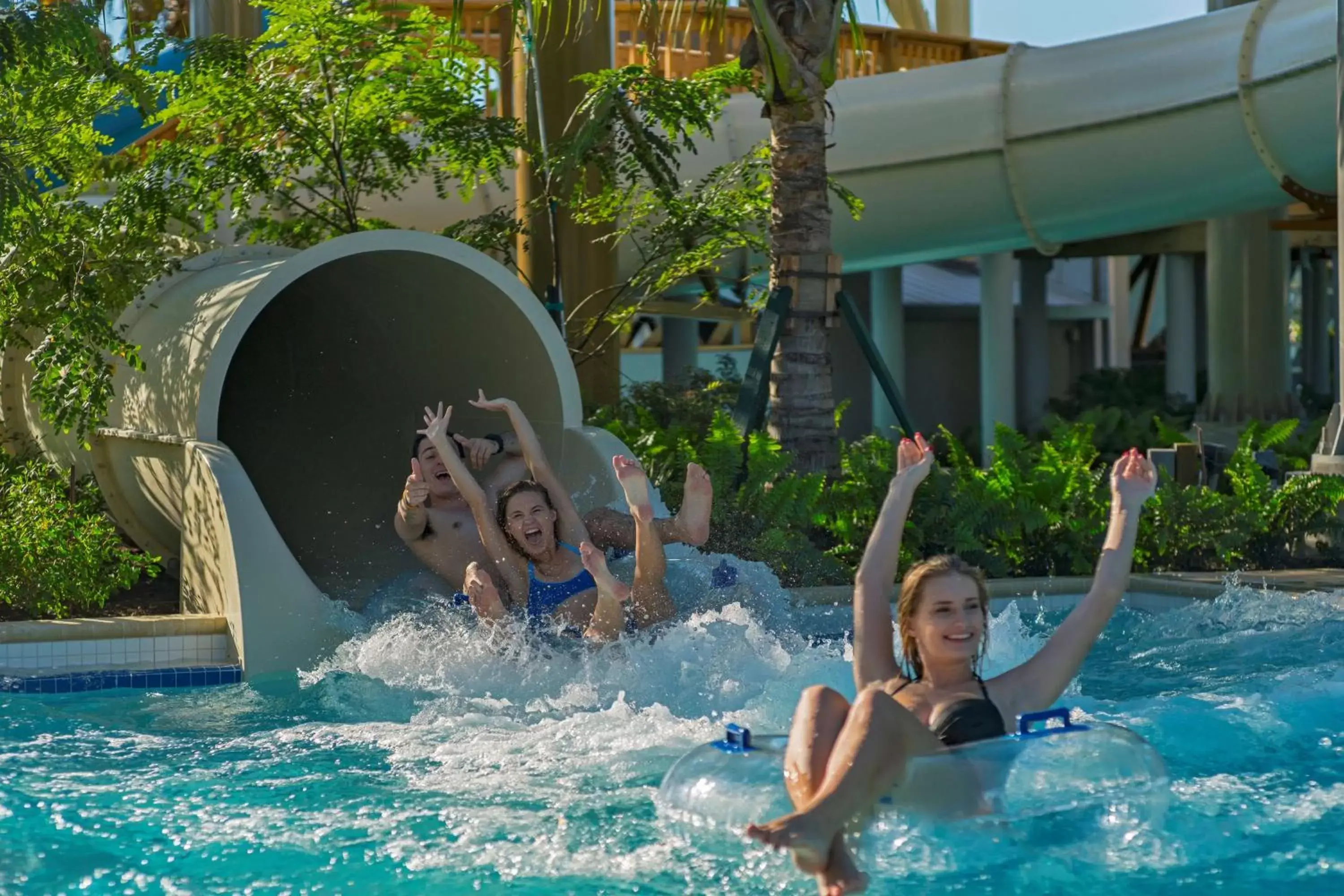 Pool view, Water Park in Hyatt Regency Coconut Point Resort & Spa Near Naples