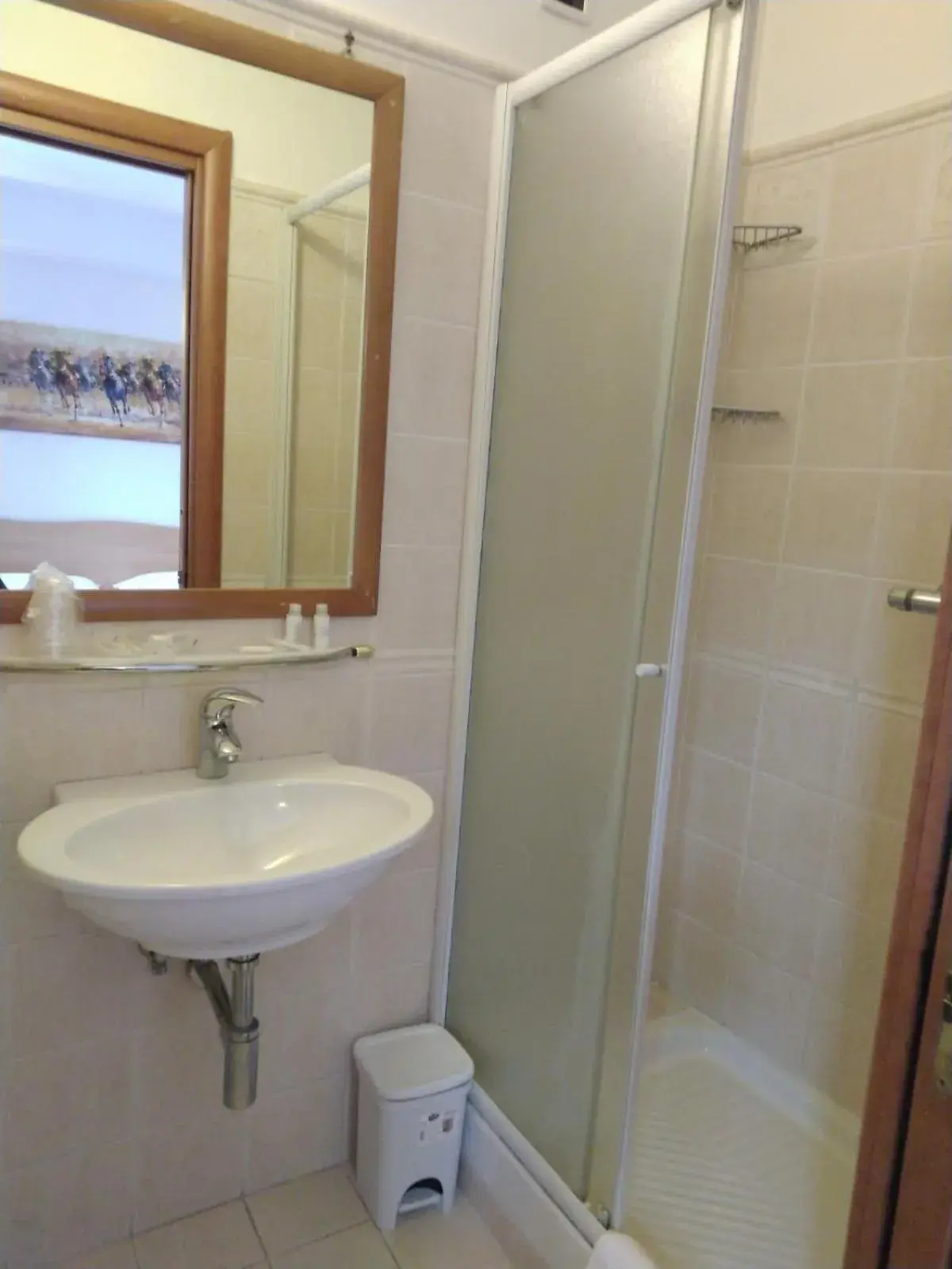 Shower, Bathroom in Hotel Ristorante Garibaldi