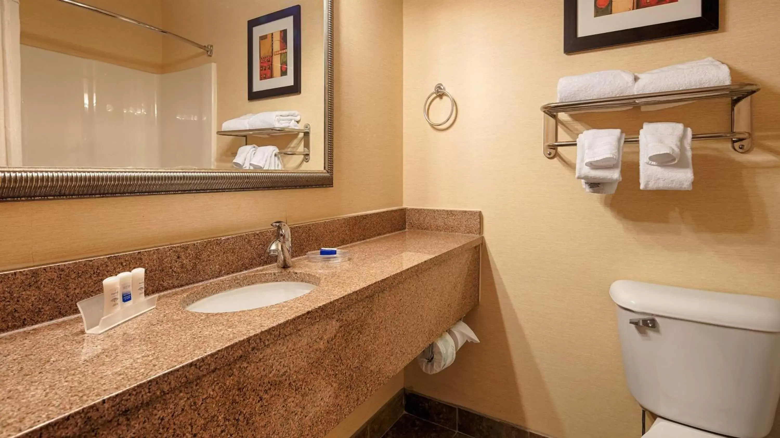 Bathroom in Best Western Plus Pontoon Beach