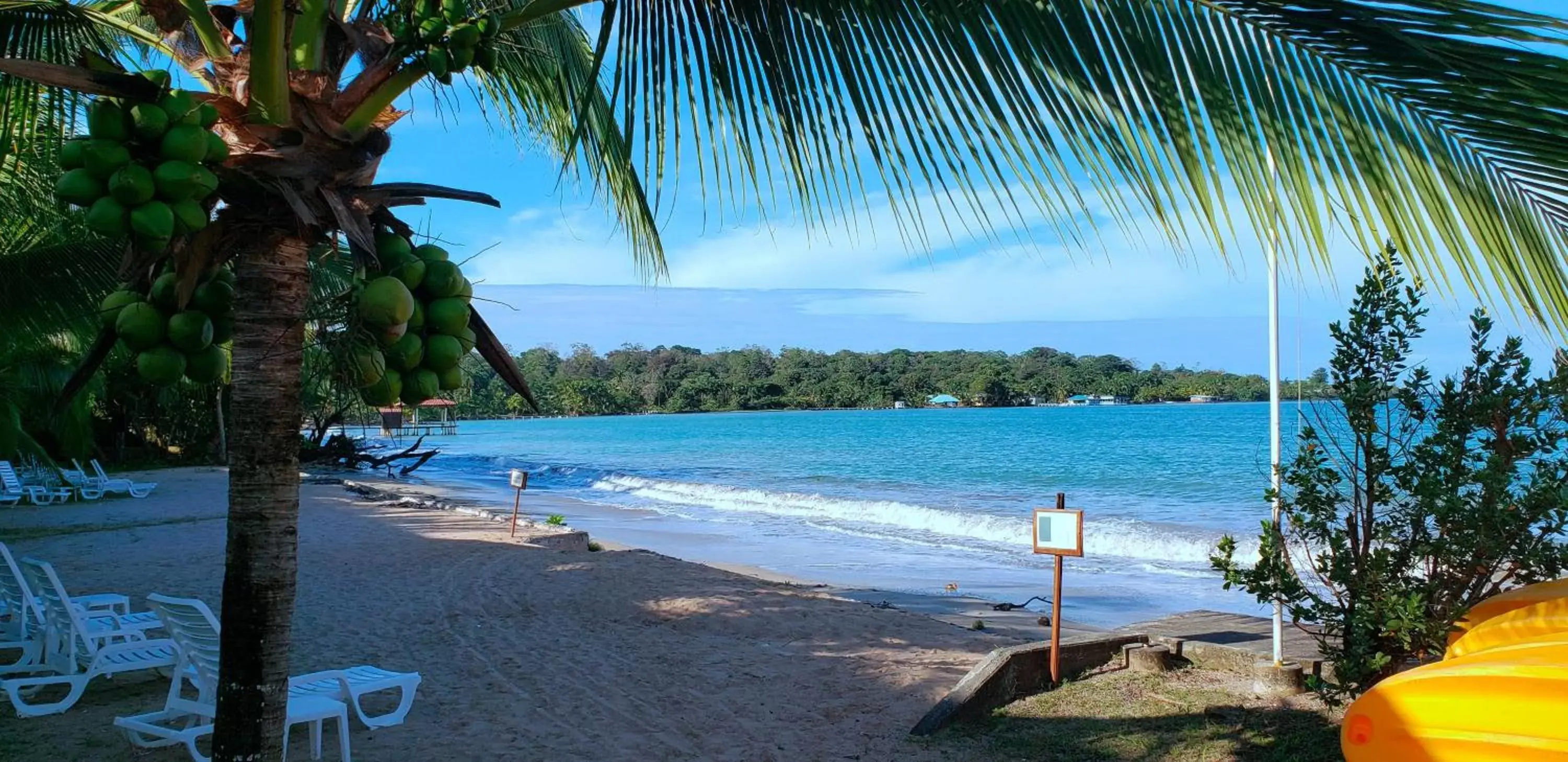 Beach in Playa Tortuga Hotel and Beach Resort