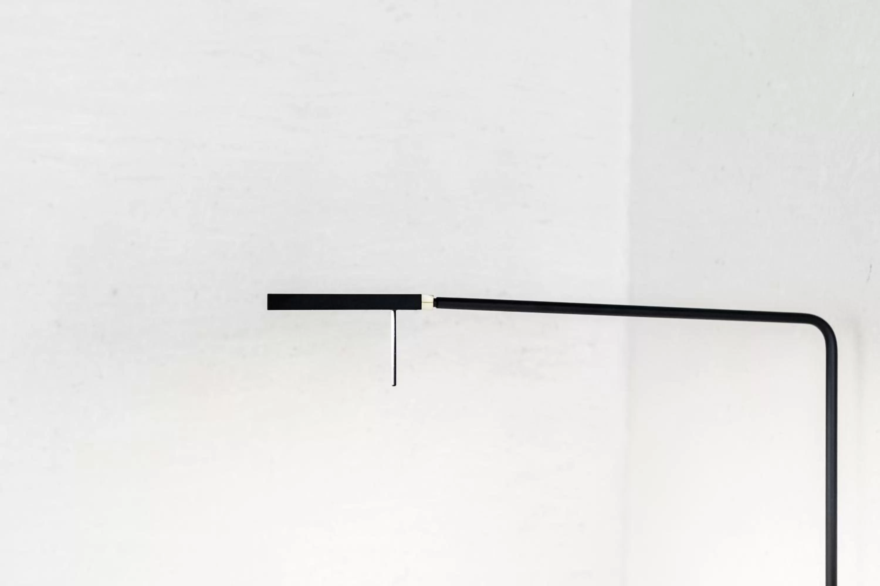 Natural landscape in Hotel Scenario