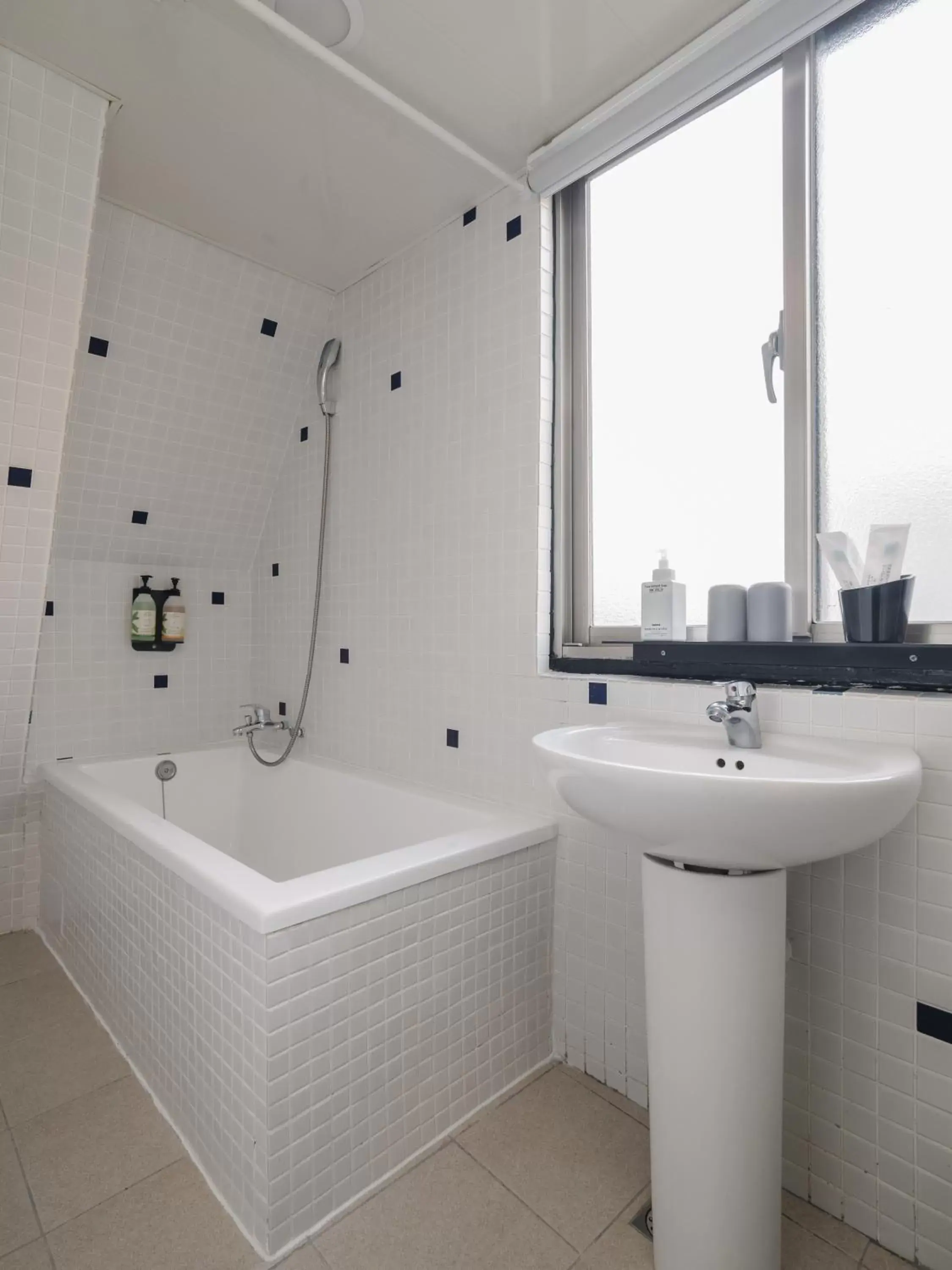 Bathroom in Hotel attic