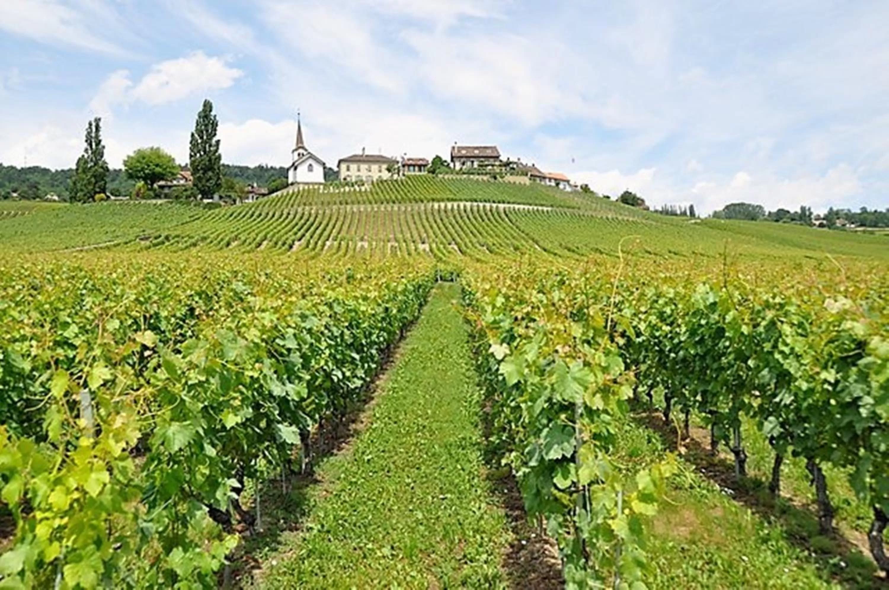 Natural landscape in Hotel La Barcarolle