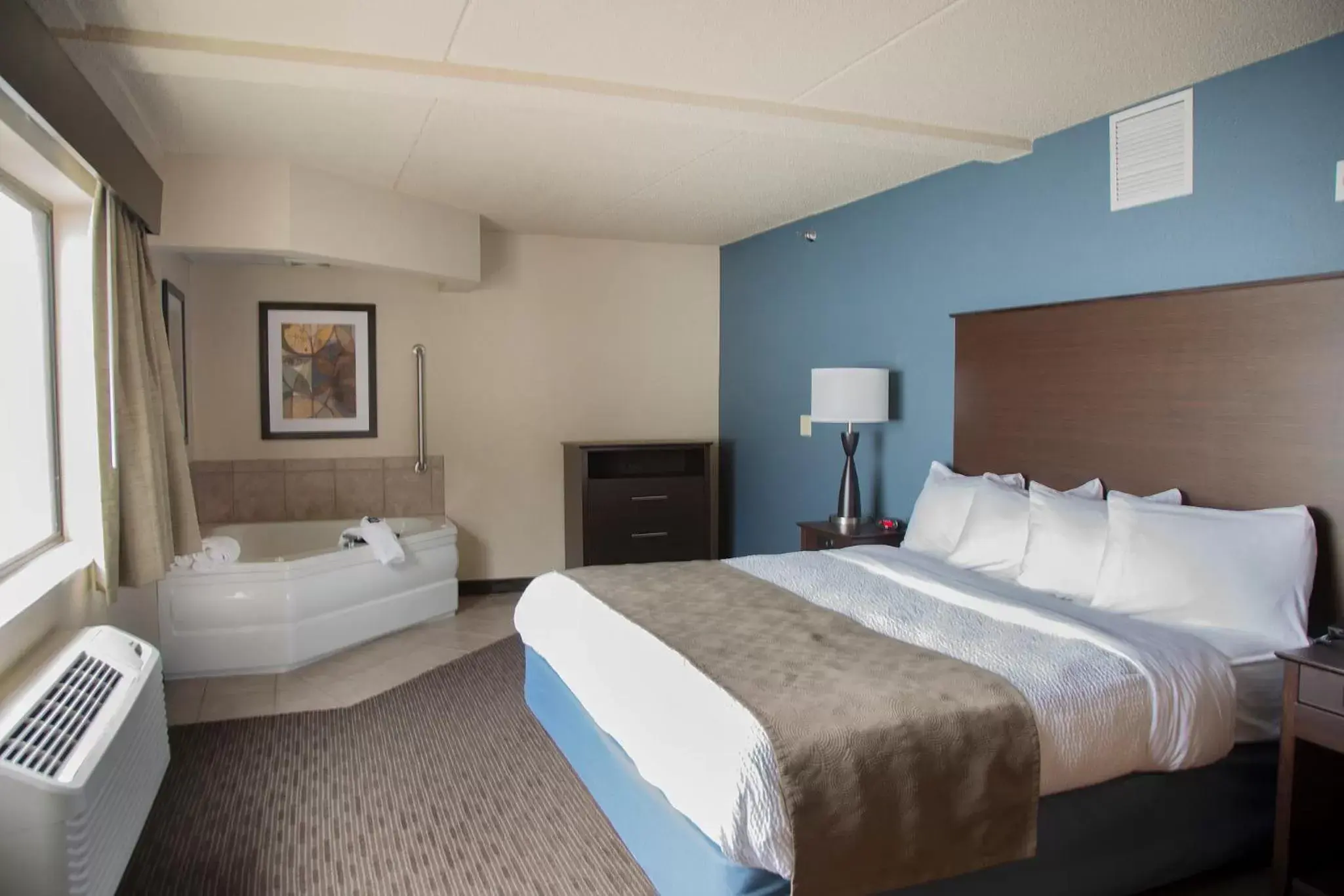 Day, Bed in AmericInn by Wyndham Mounds View Minneapolis