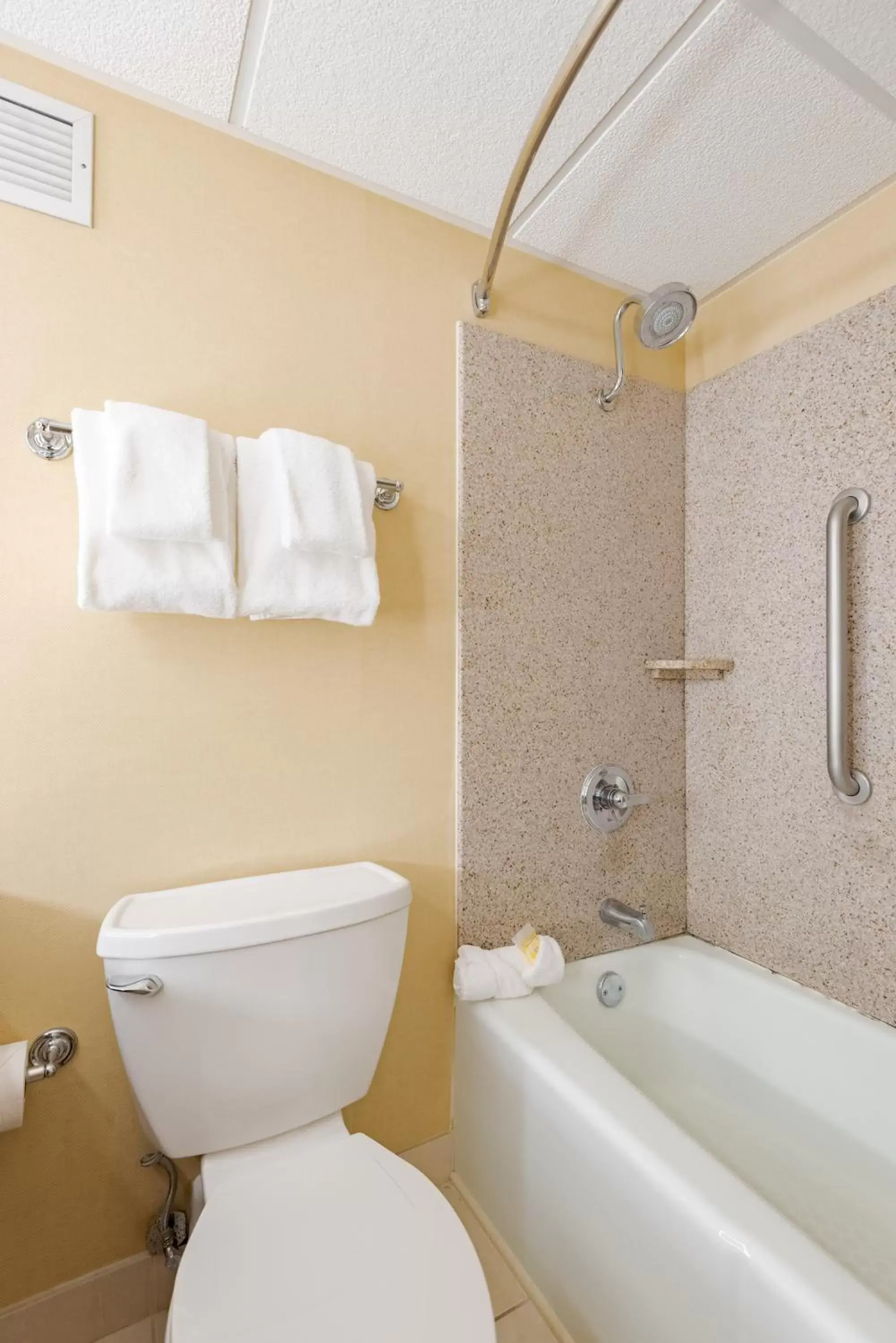 Bath, Bathroom in Wyndham Omaha Hotel - West Dodge