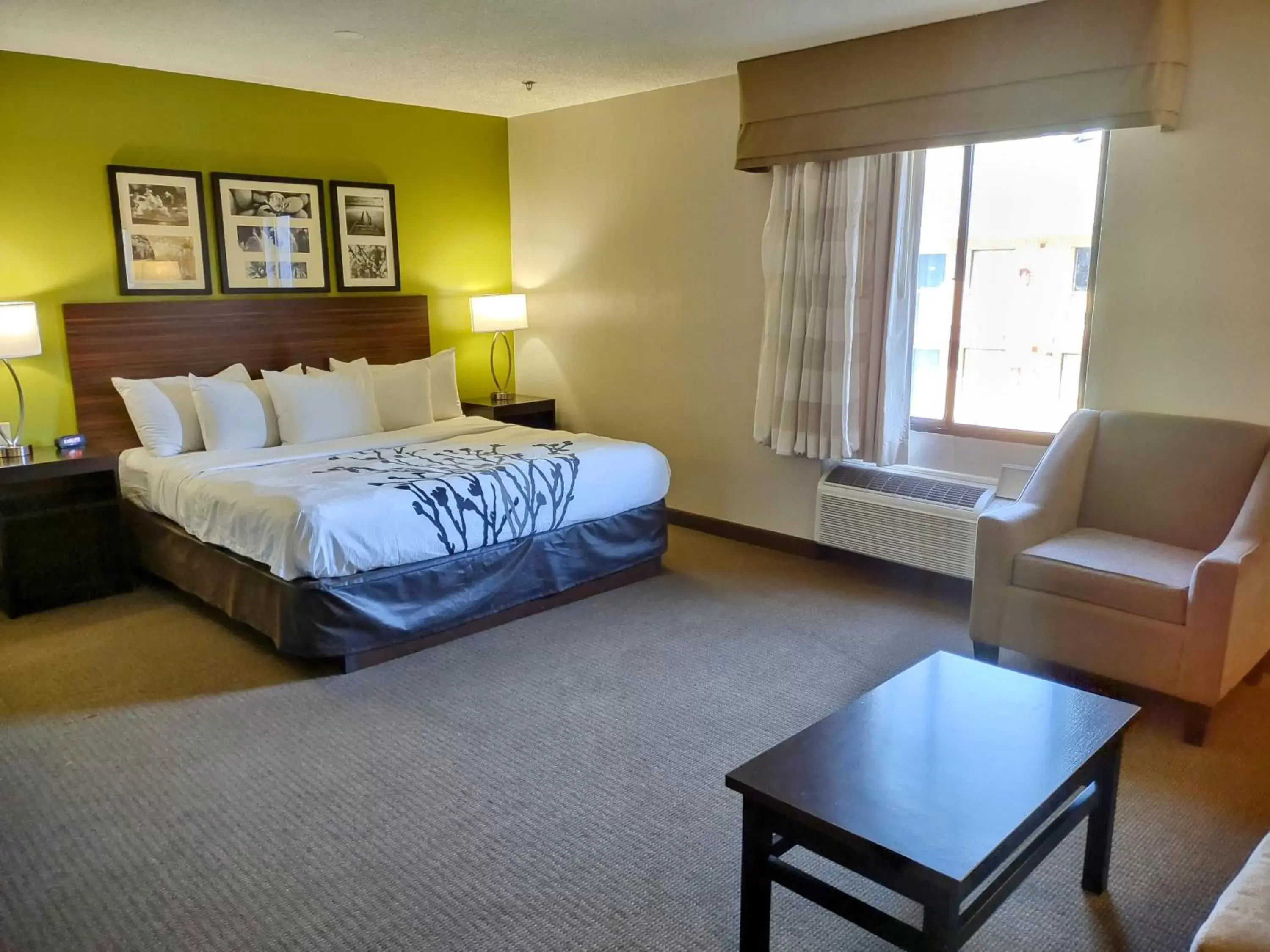 King Suite with Sofa Bed - Non Smoking in Sleep Inn Fredericksburg North King Suite with Sofa Bed - Non Smoking in Sleep Inn Fredericksburg North