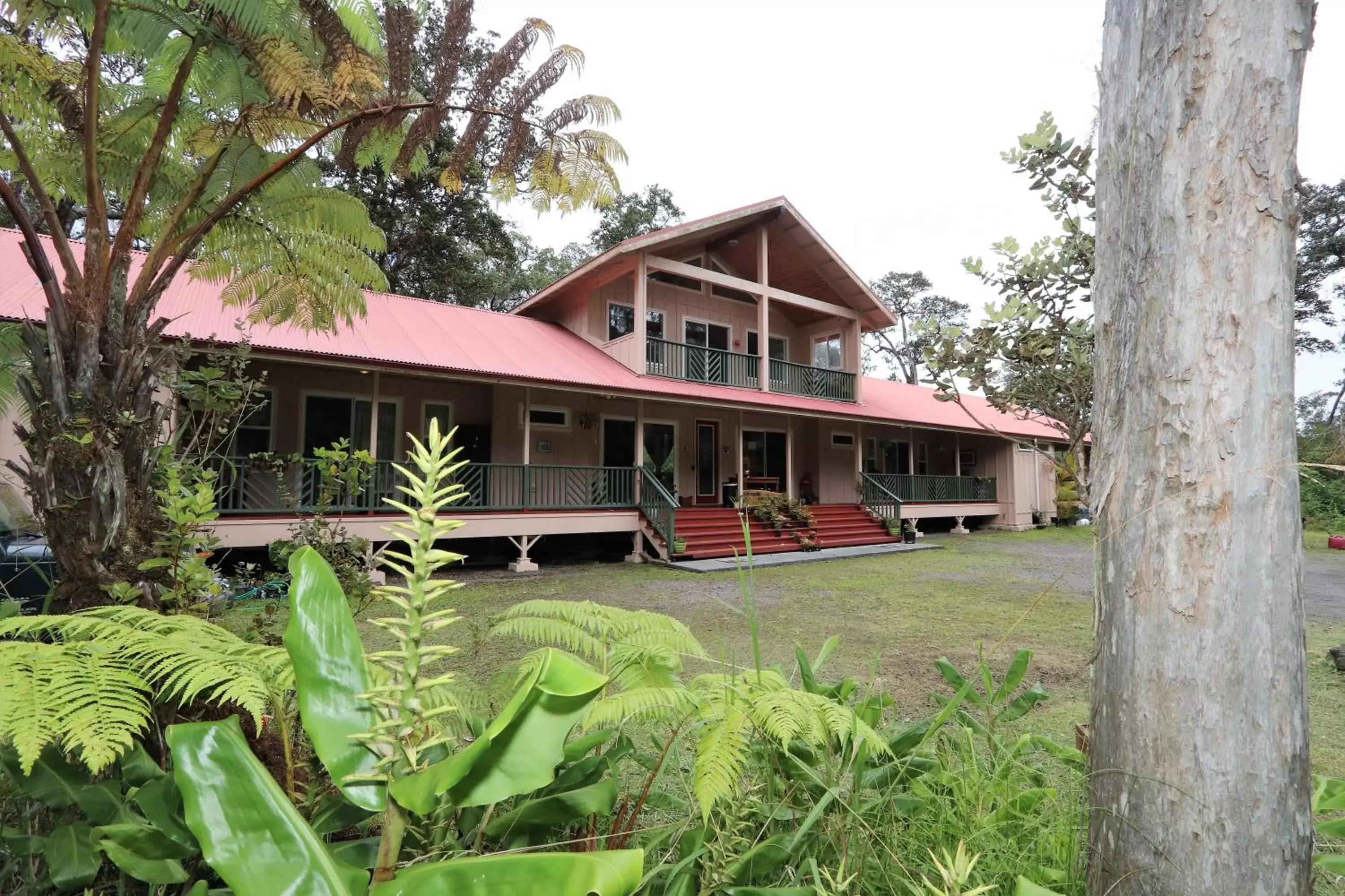 Property Building in Volcano Forest Inn