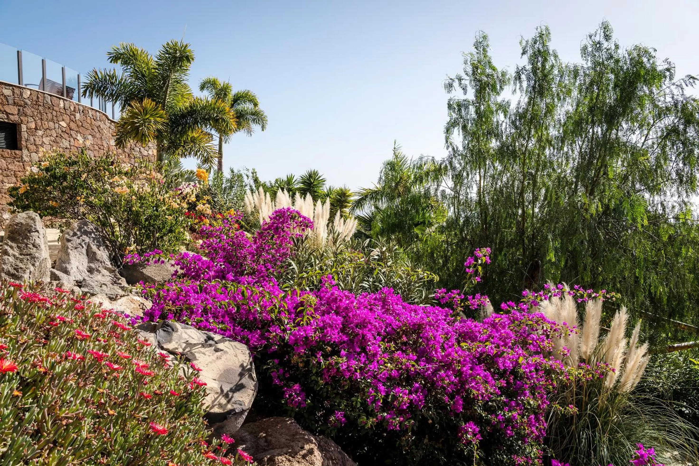 Garden view in Casa León Royal Retreat