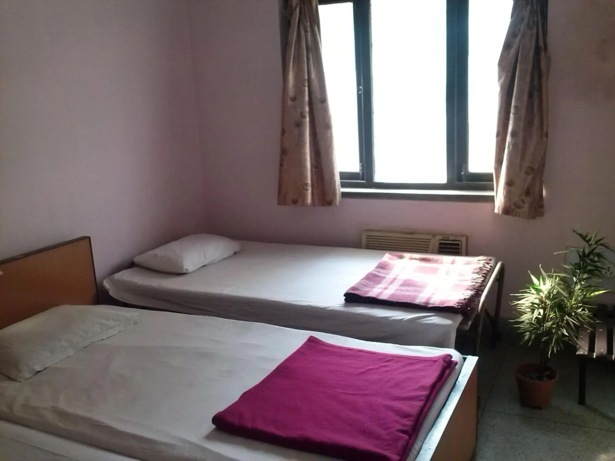 Bed in Capital Guest House