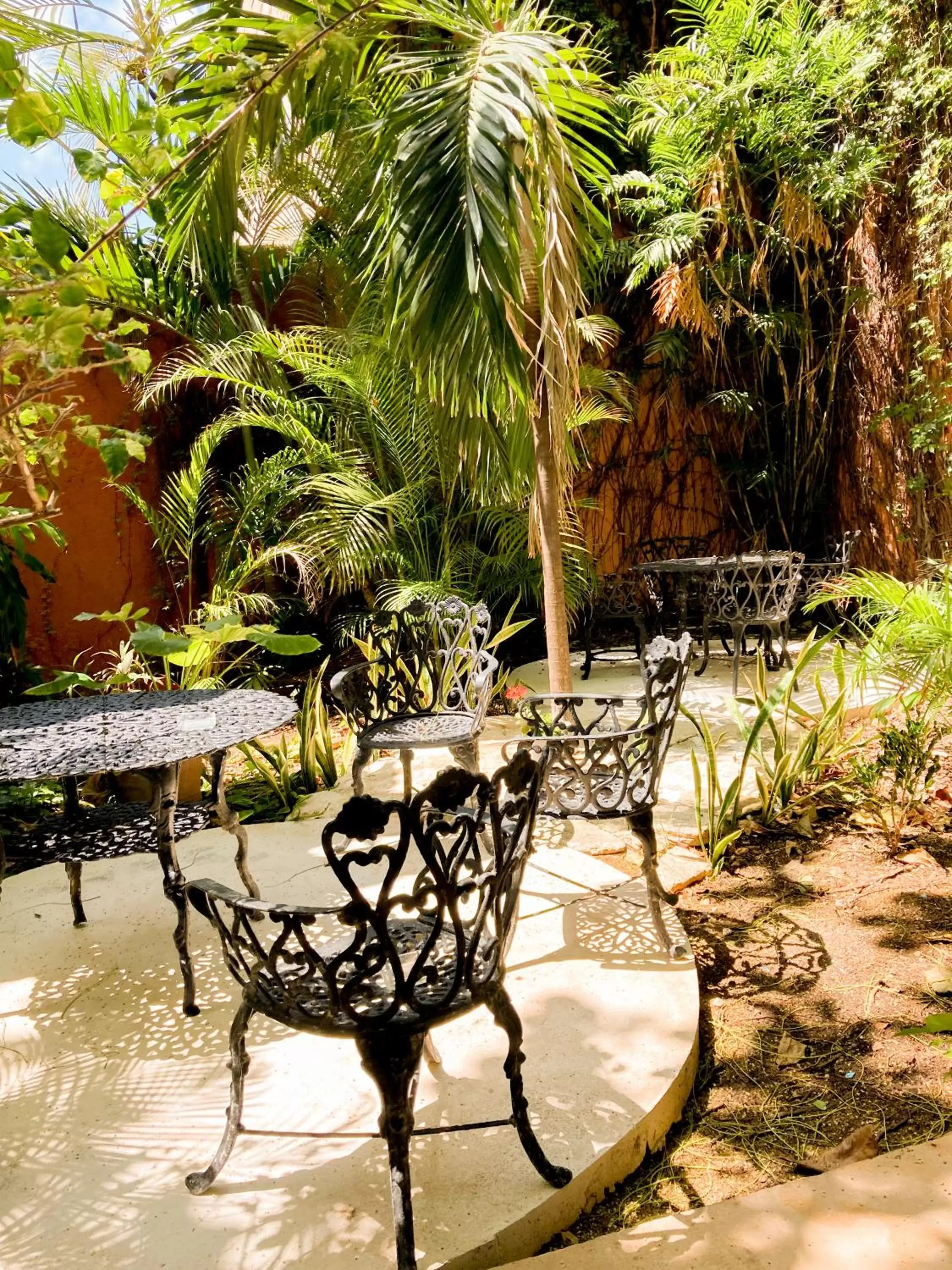 Balcony/Terrace in Siesta Fiesta Hotel - 5th Avenue