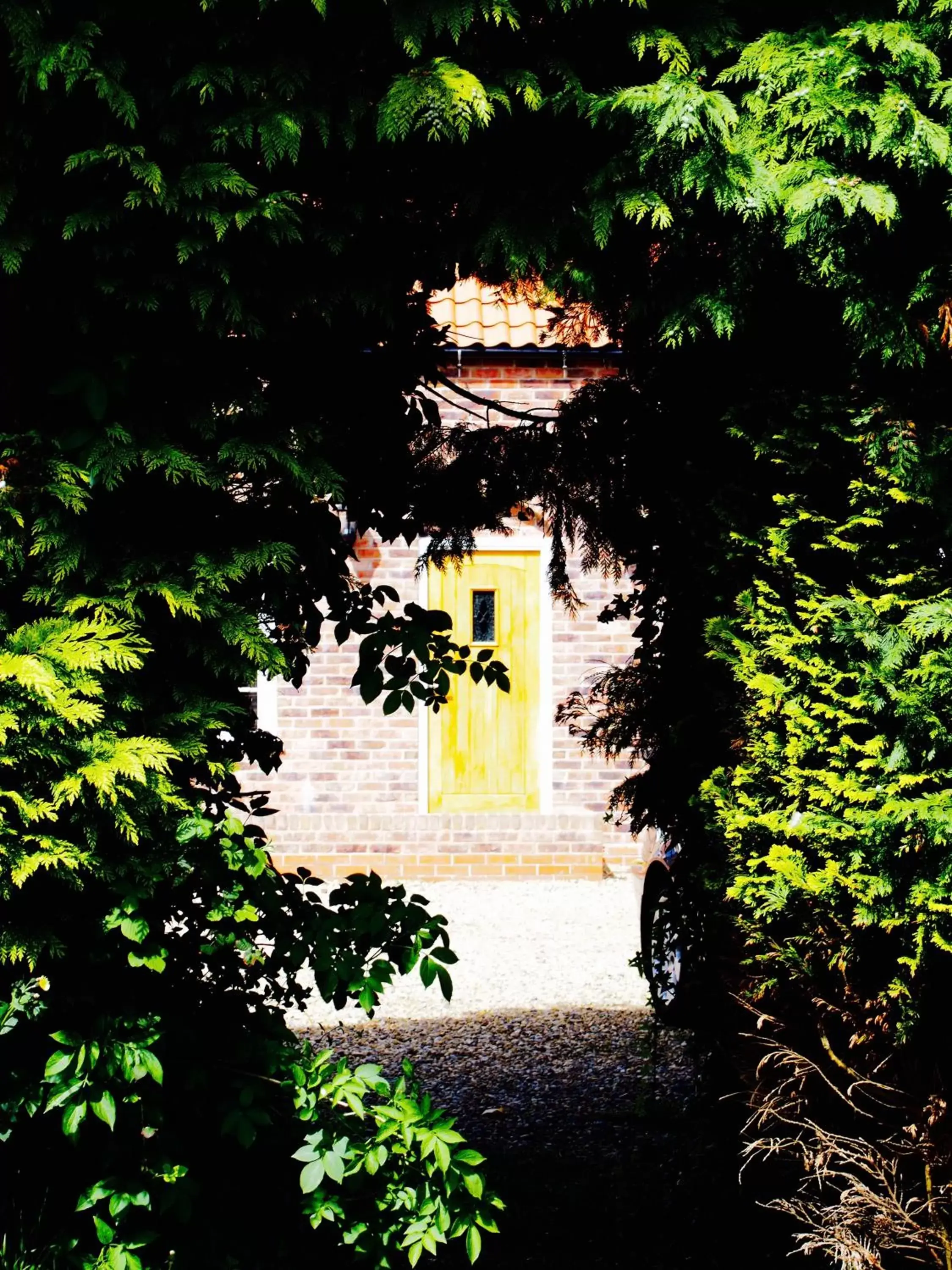 Garden in Wrangham House