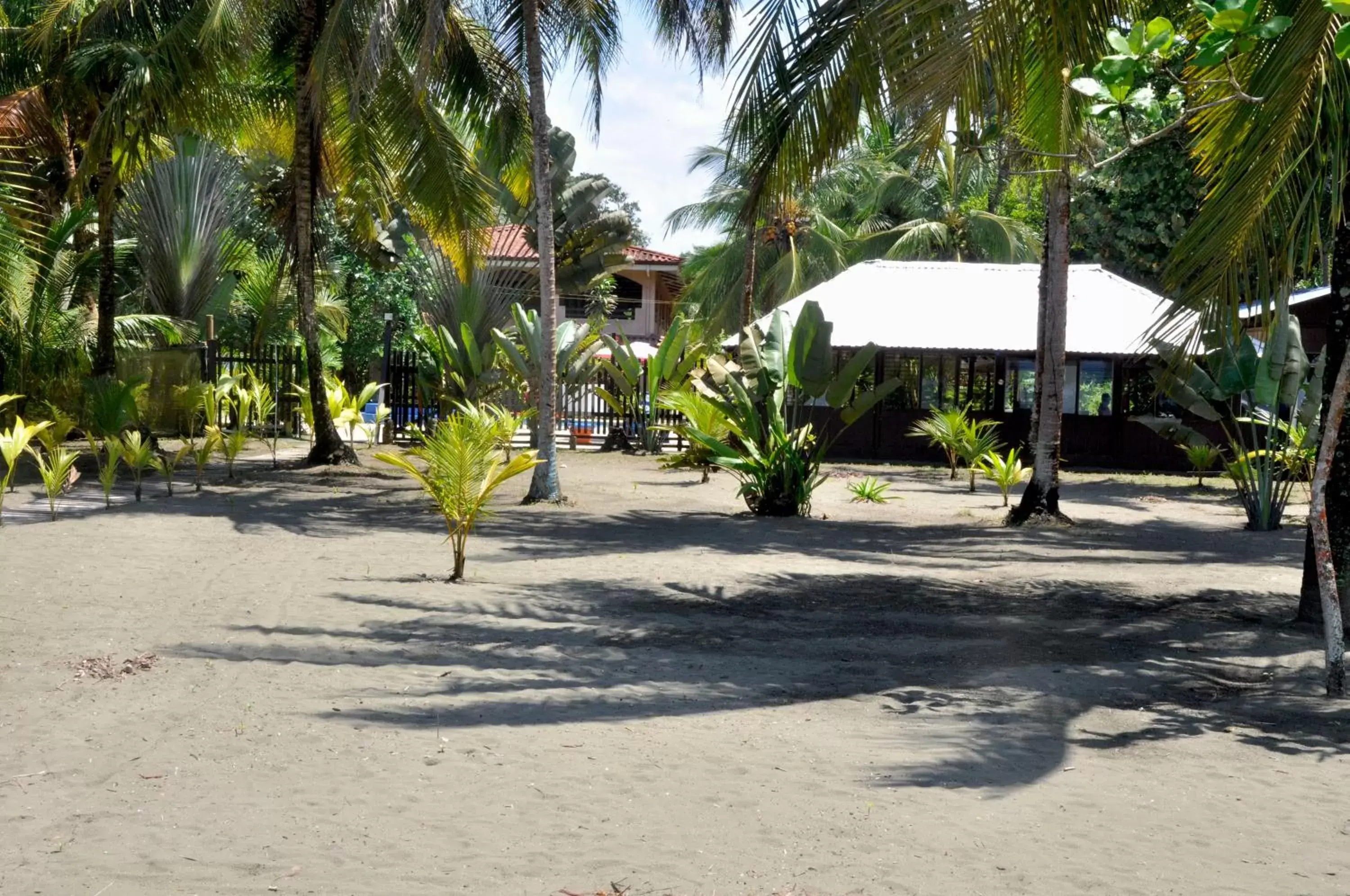 Beach in Hotel Playa Westfalia