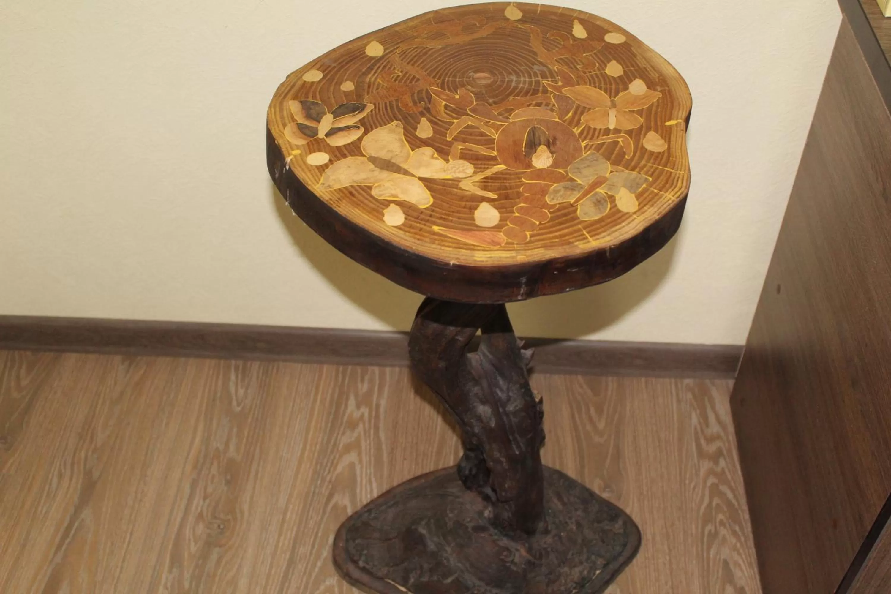 Area and facilities in Mevlana Hotel