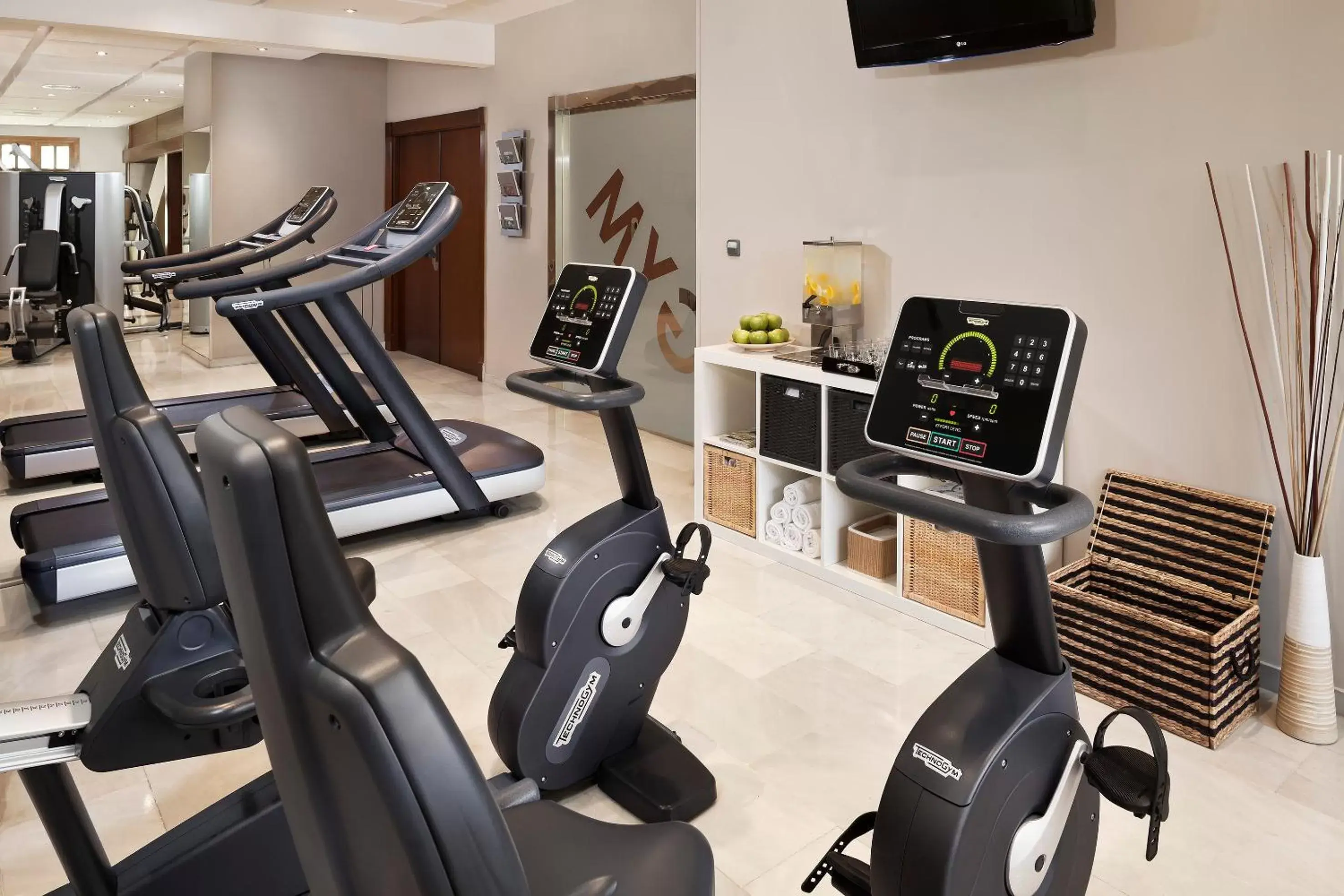 Fitness centre/facilities, Fitness Center/Facilities in Melia Lebreros