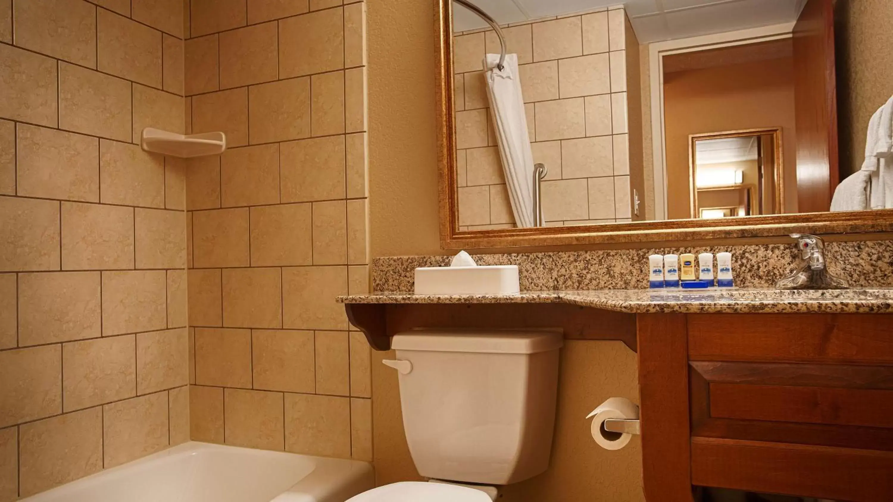 Bathroom in Best Western Plus Mid Nebraska Inn & Suites