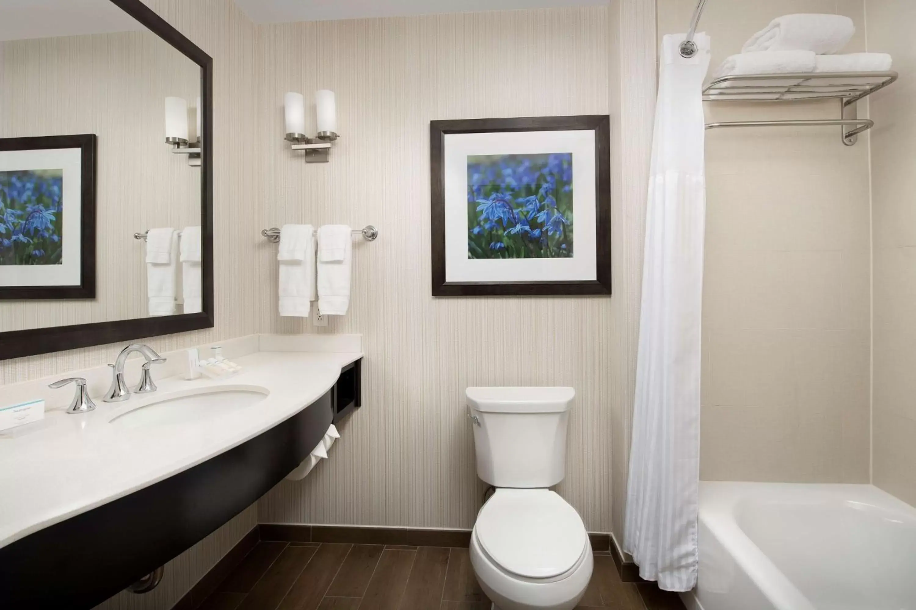 Bathroom in Hilton Garden Inn Charlotte Airport