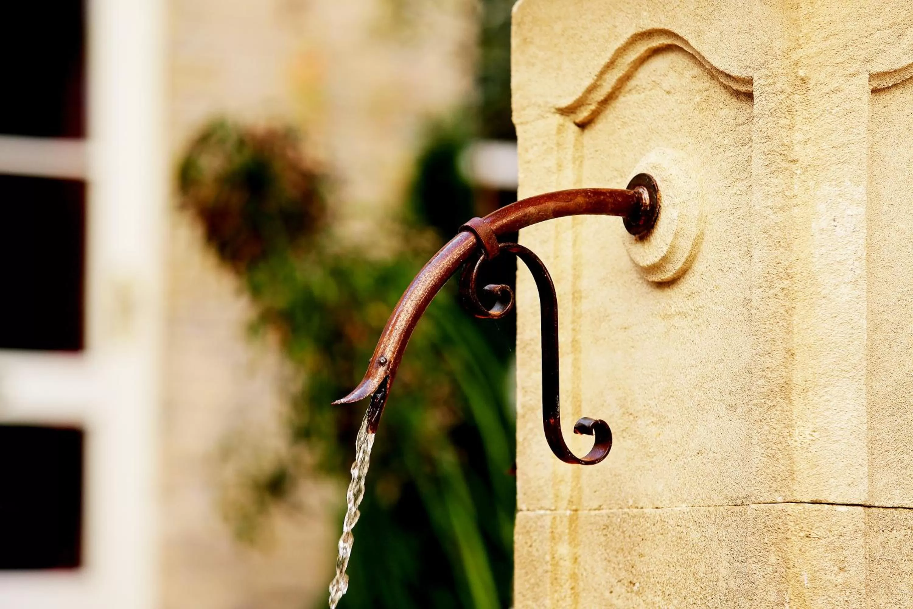 Garden view in Garden Living - Boutique Hotel