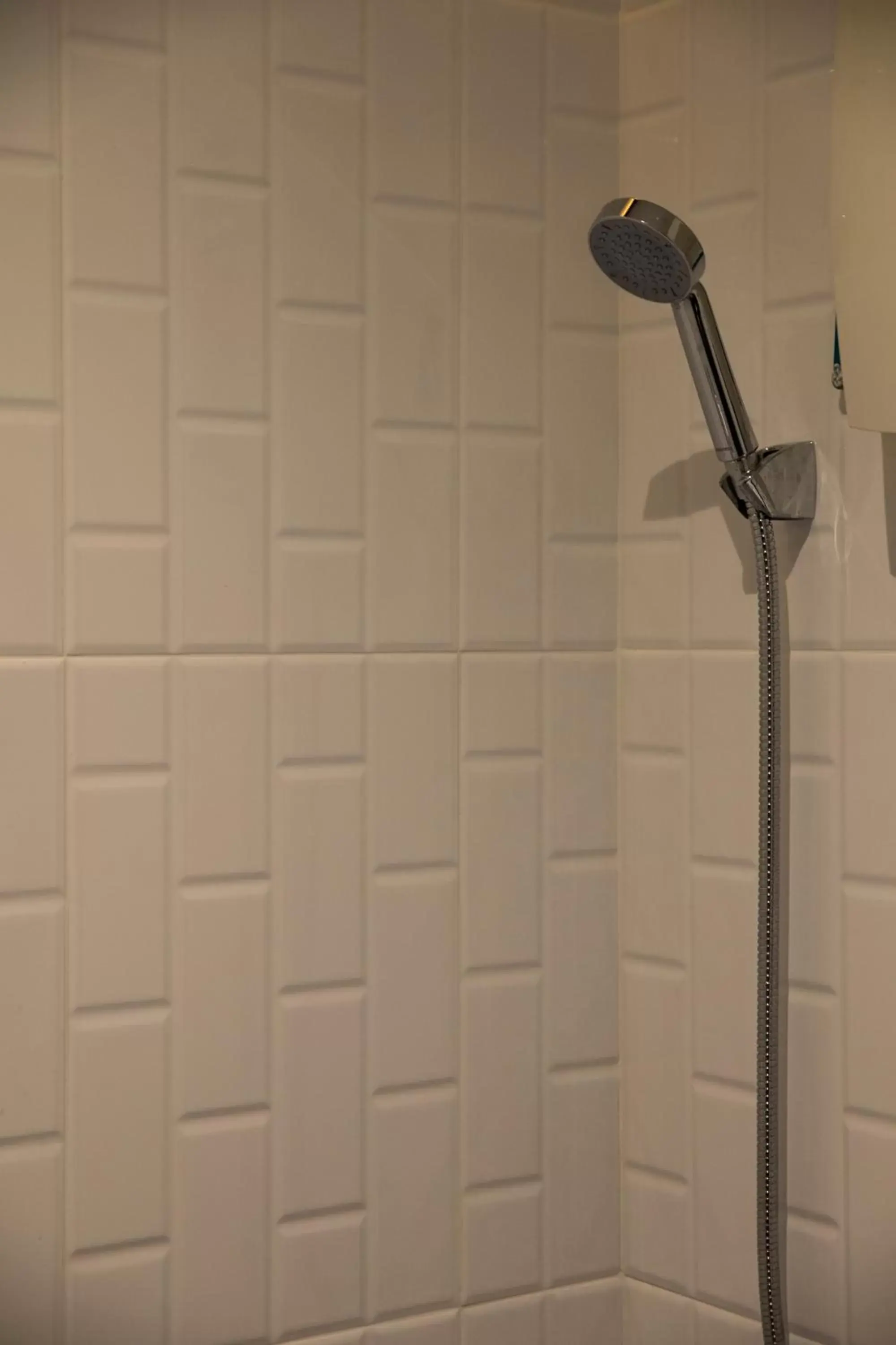Shower, Bathroom in Tim Mansion