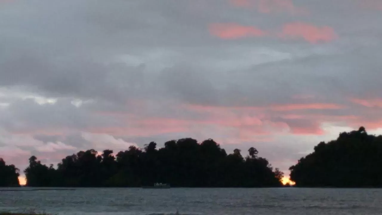 Hotel Palmas del Pacifico