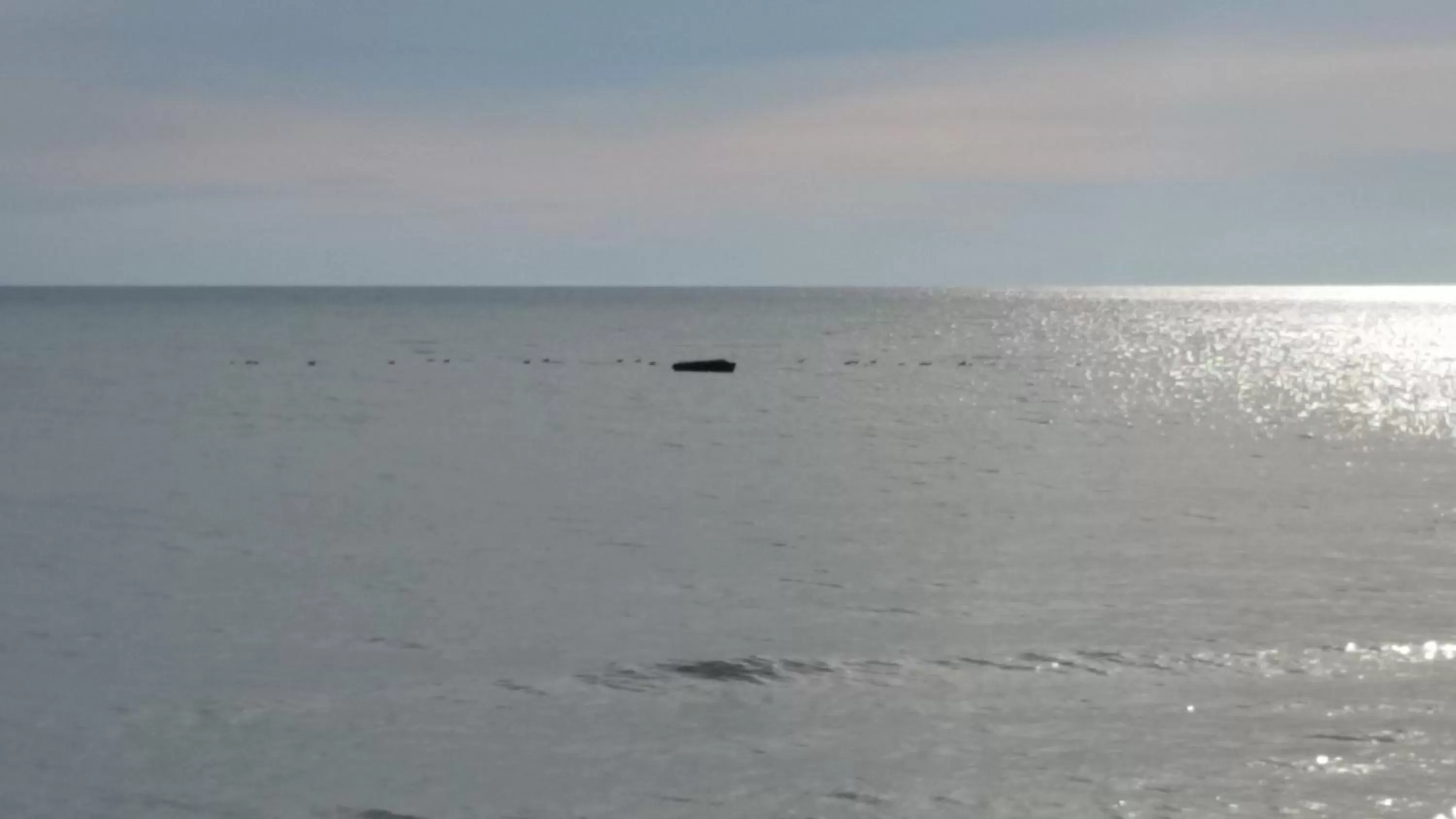 View (from property/room) in Algoma Beach Motel