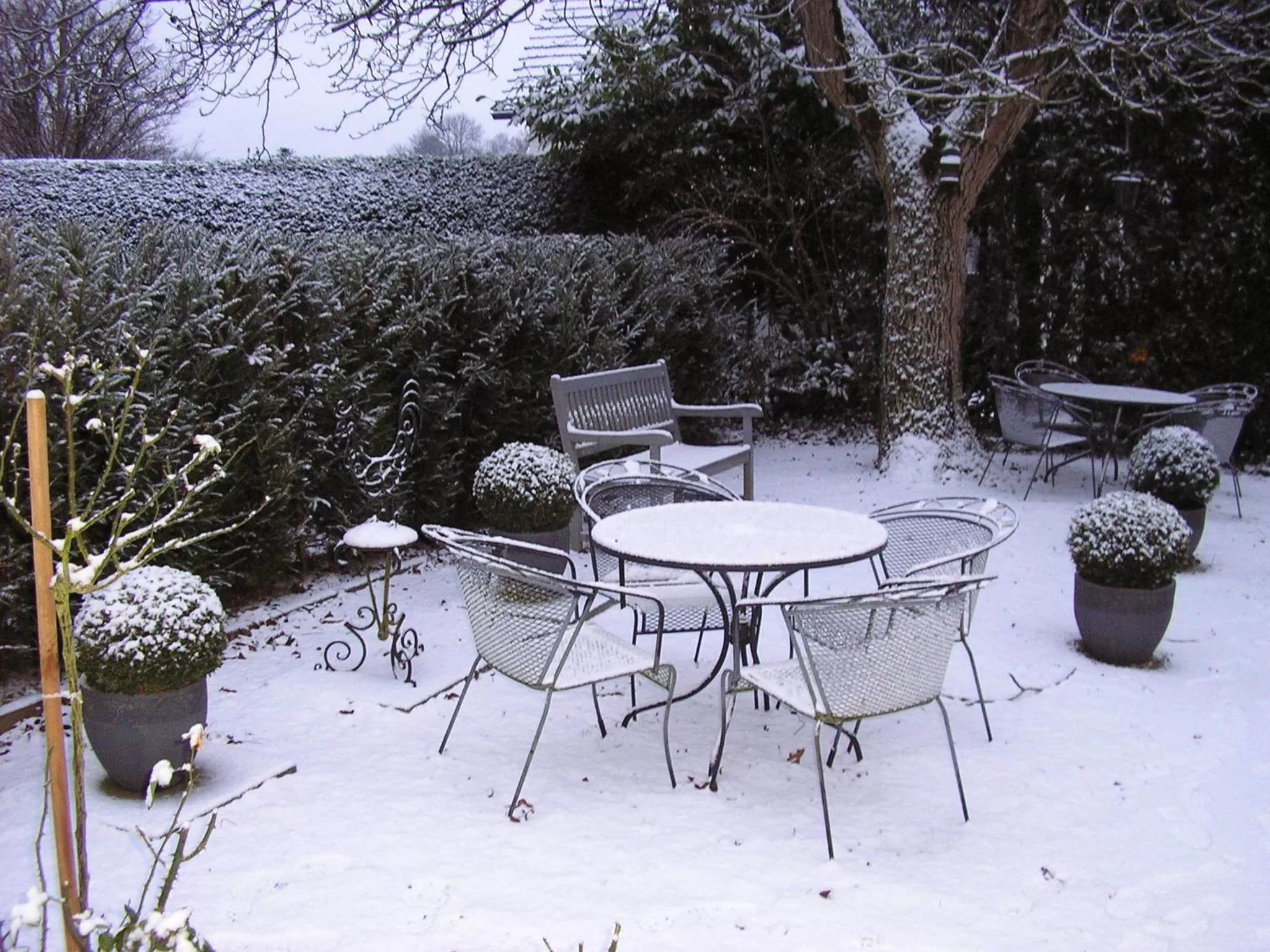 Winter in Walnut Lodge Bed & Breakfast