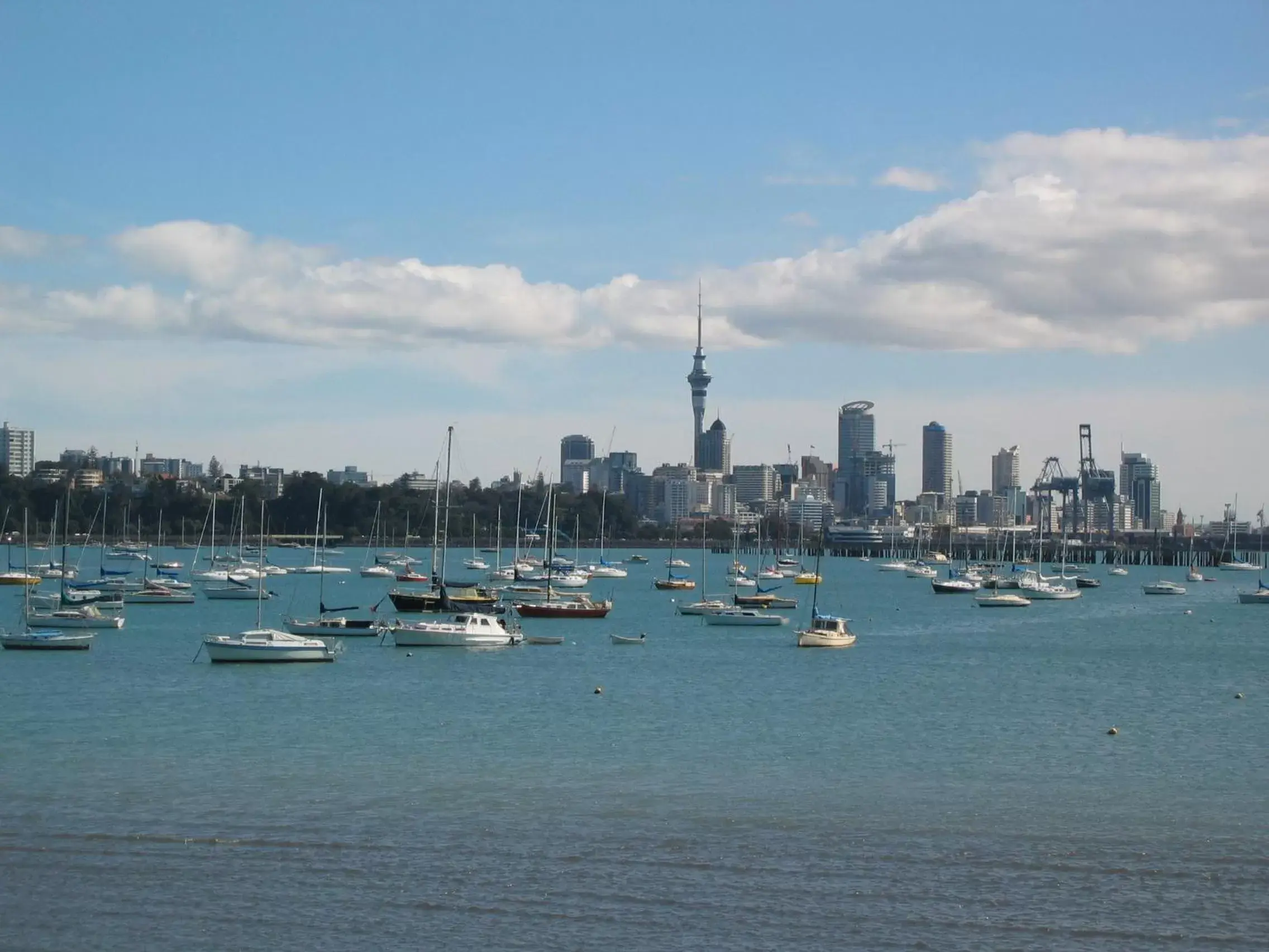 City view in Surf 'N' Snow Backpackers