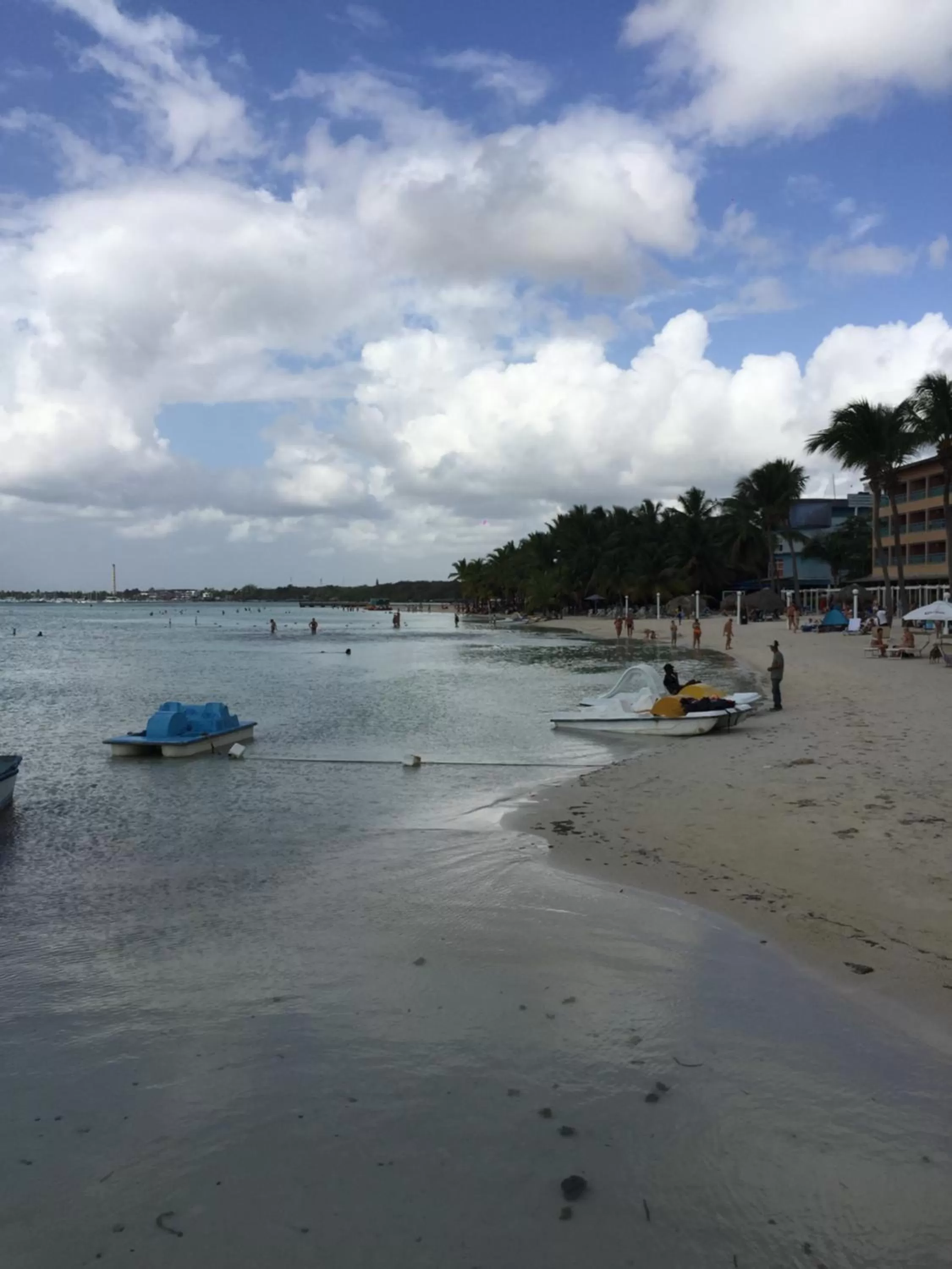 Beach in Terraza del Caribe