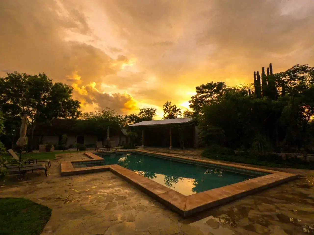 Garden, Swimming Pool in El Pedregal - Hotel en la Naturaleza