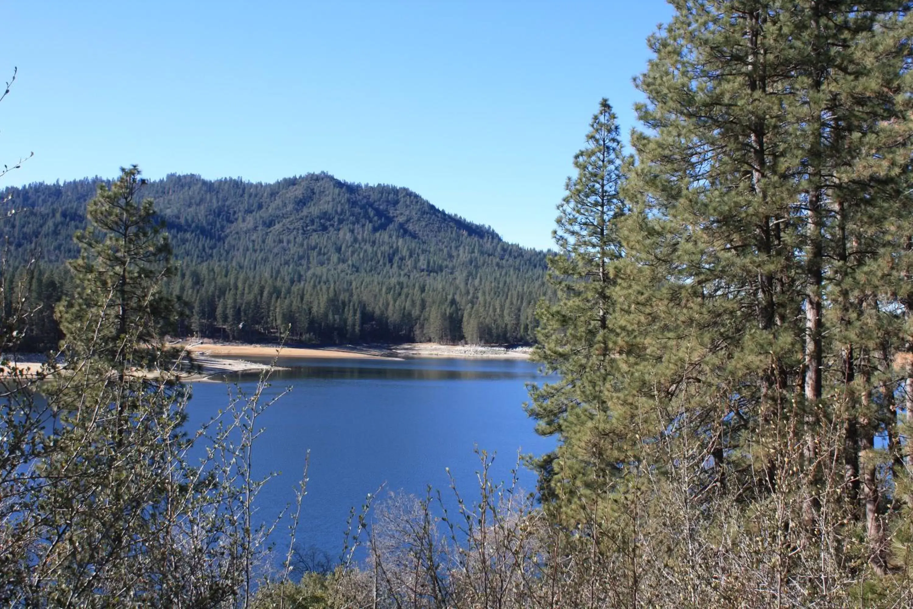 Area and facilities, Natural Landscape in The Pines Resort & Conference Center