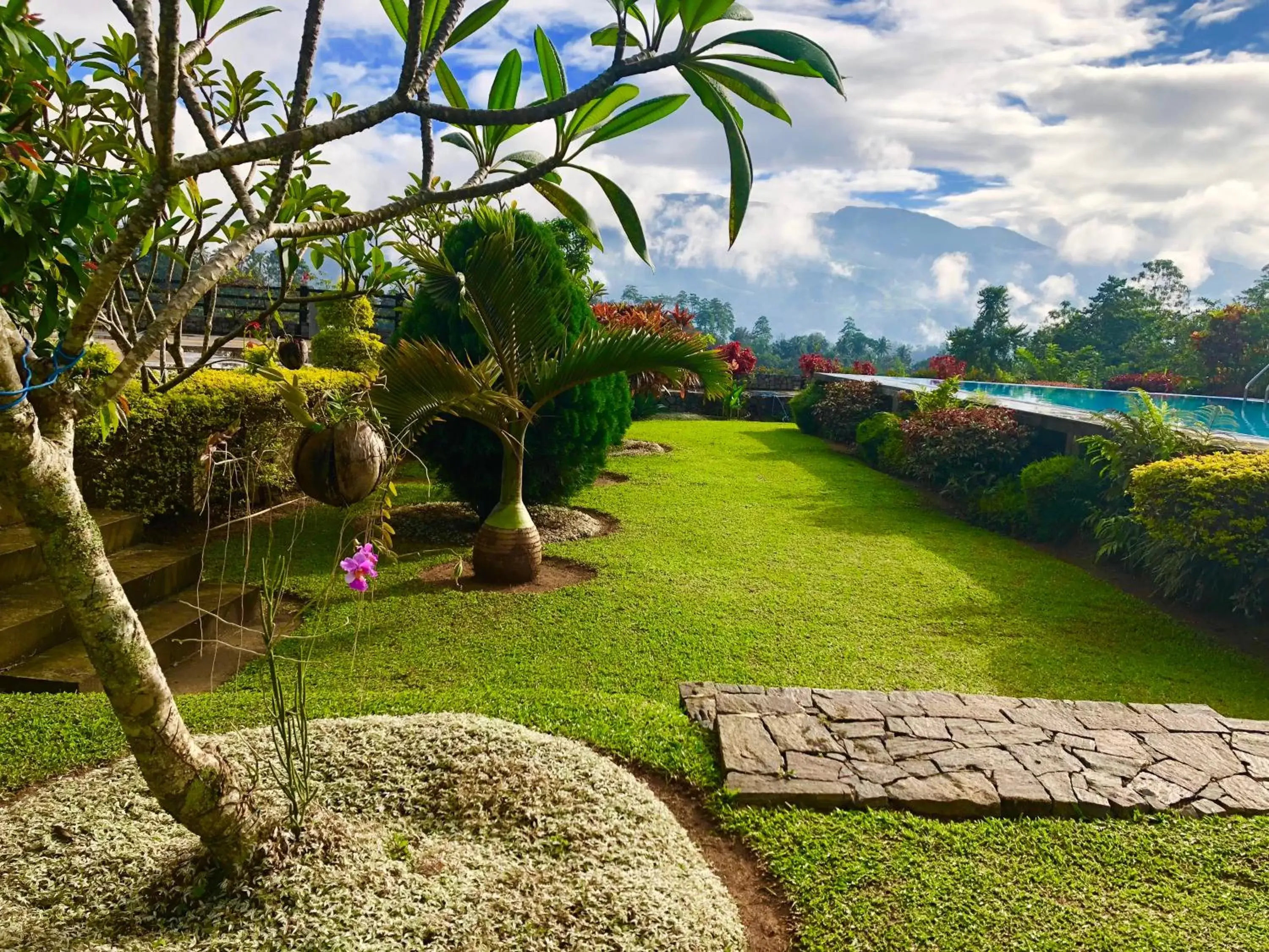 Garden in Elegant Hotel